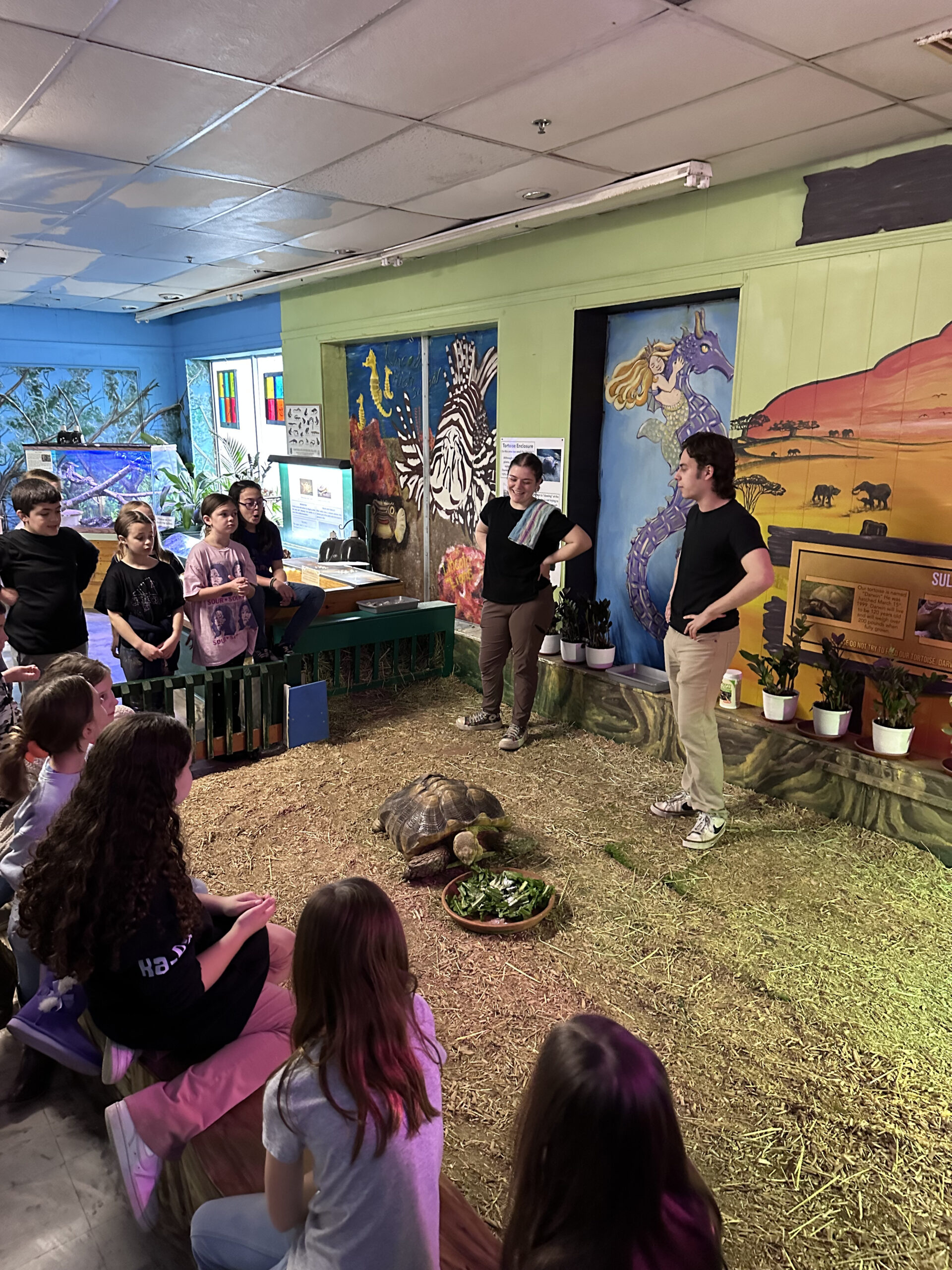 Biomes in Rhode Island with kids