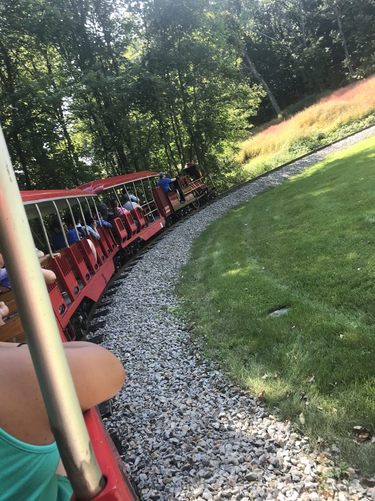 train ride of the property