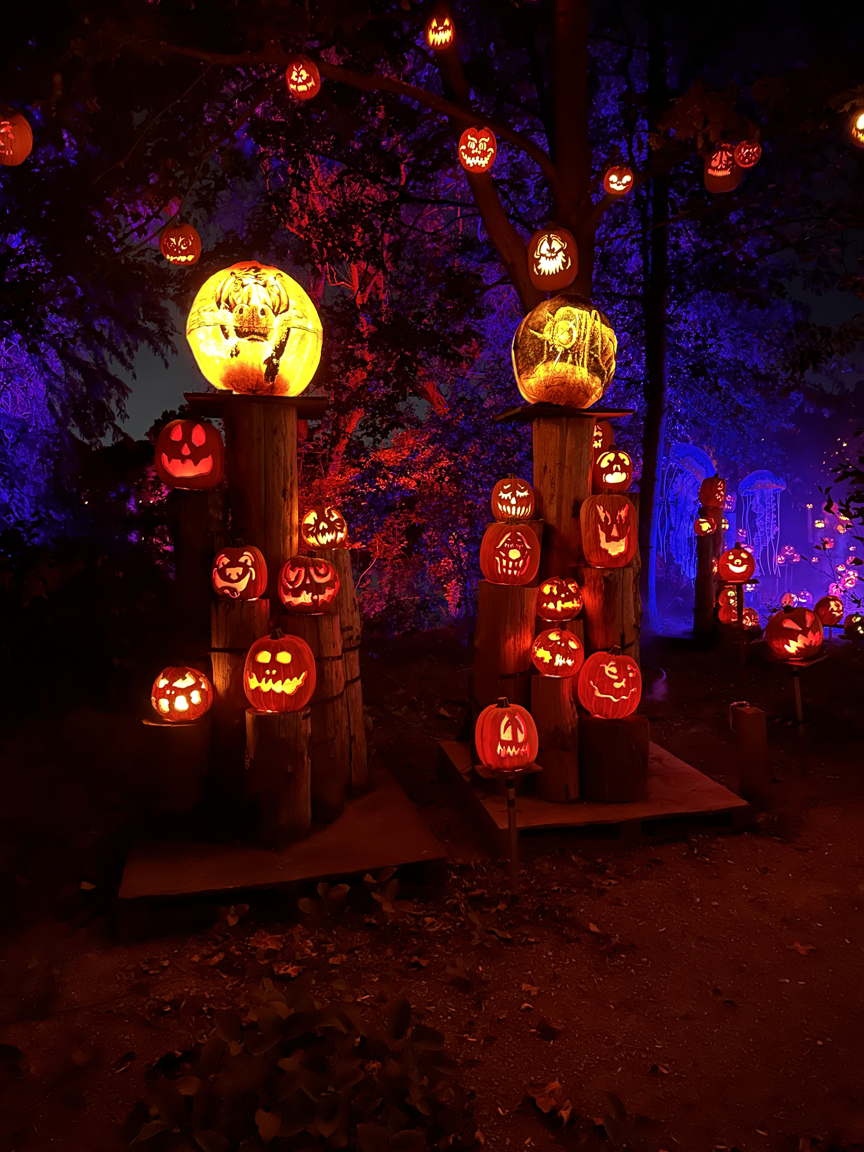 Jack-o-lantern Spectacular at Roger Williams Park and Zoo in Rhode Island