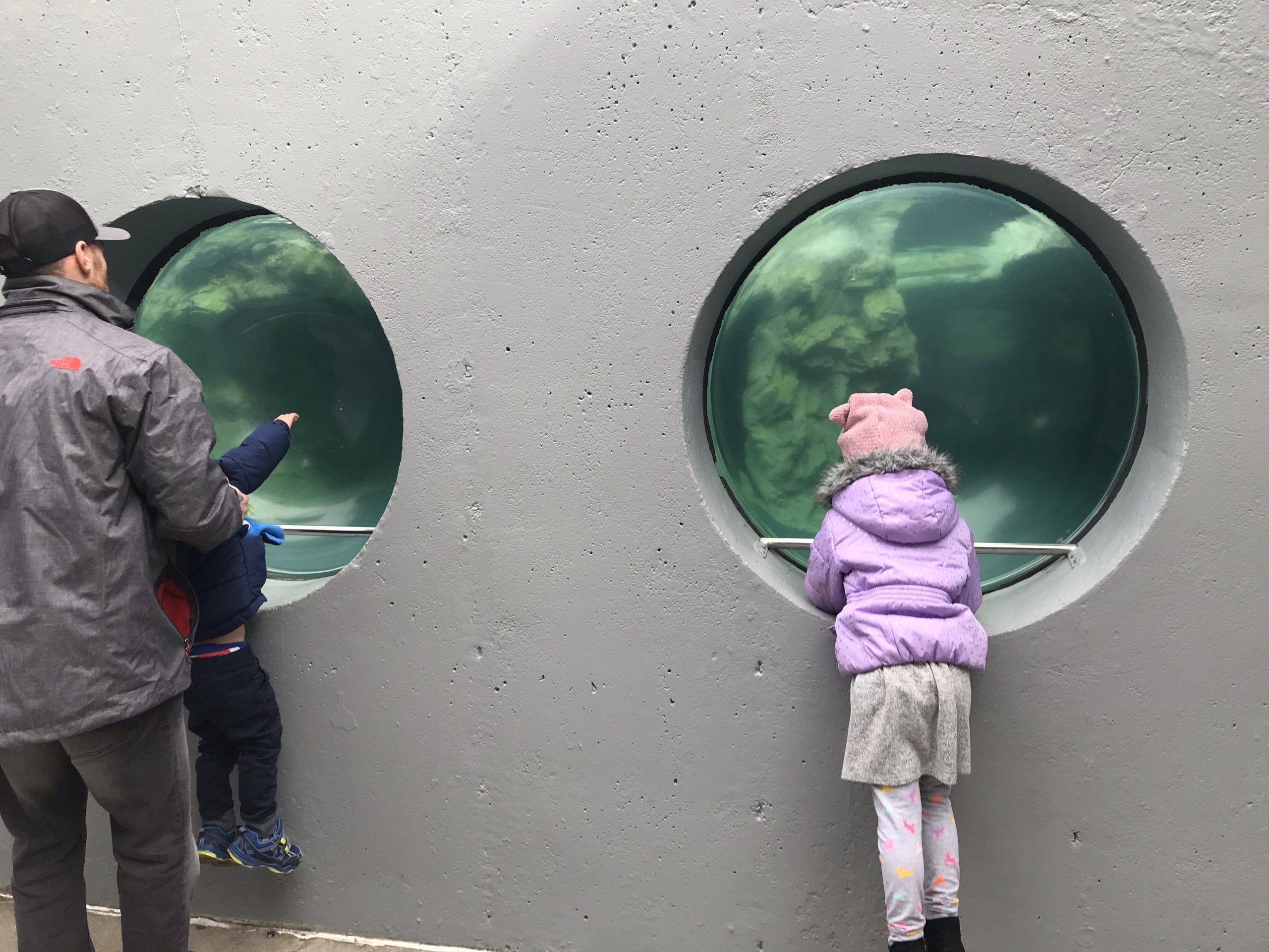 Mystic Aquarium in Connecticut with kids