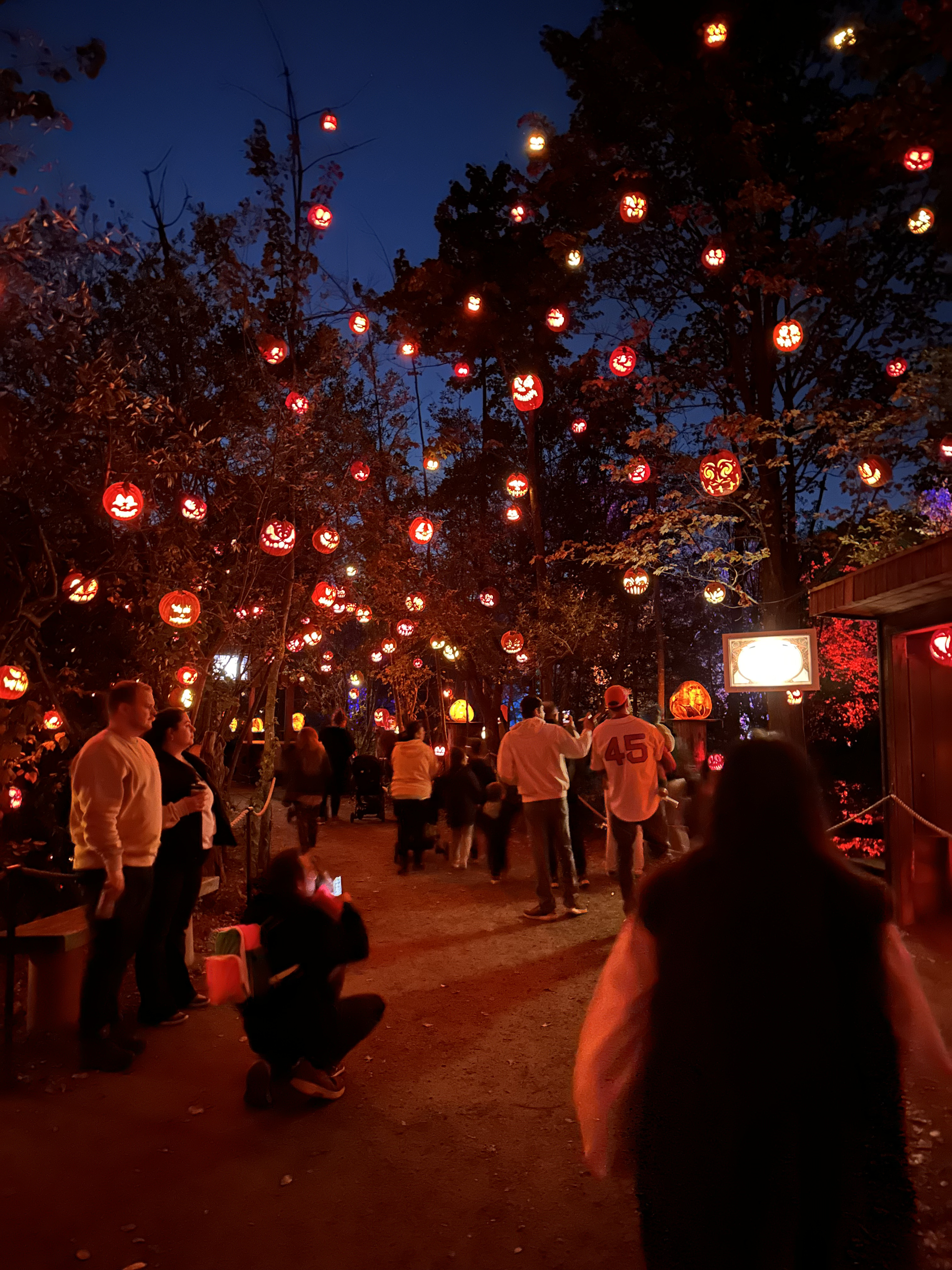 Roger Williams Park and Zoo in Providence , Rhode Island