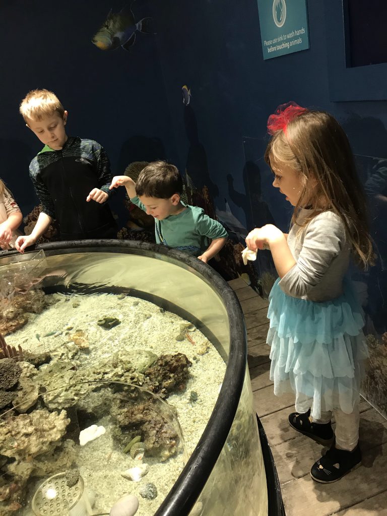Mystic Aquarium in Connecticut with kids