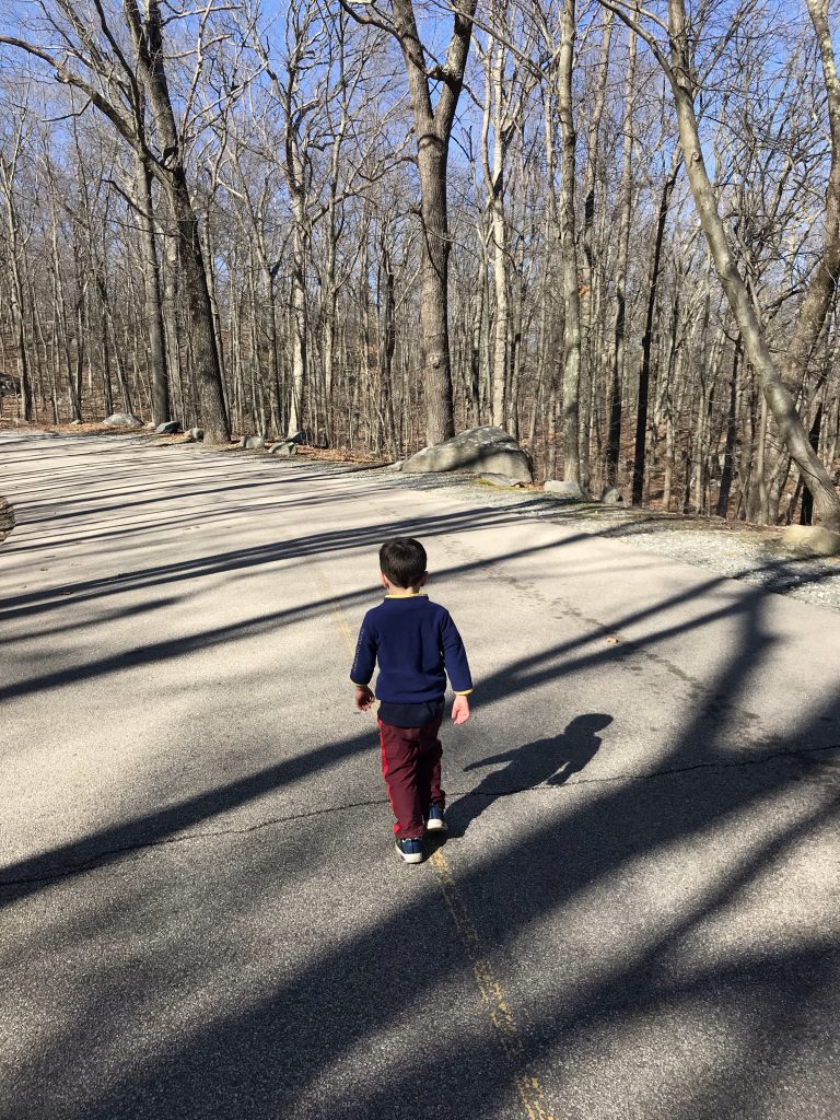  Lincoln Woods State Park in Rhode Island with kids