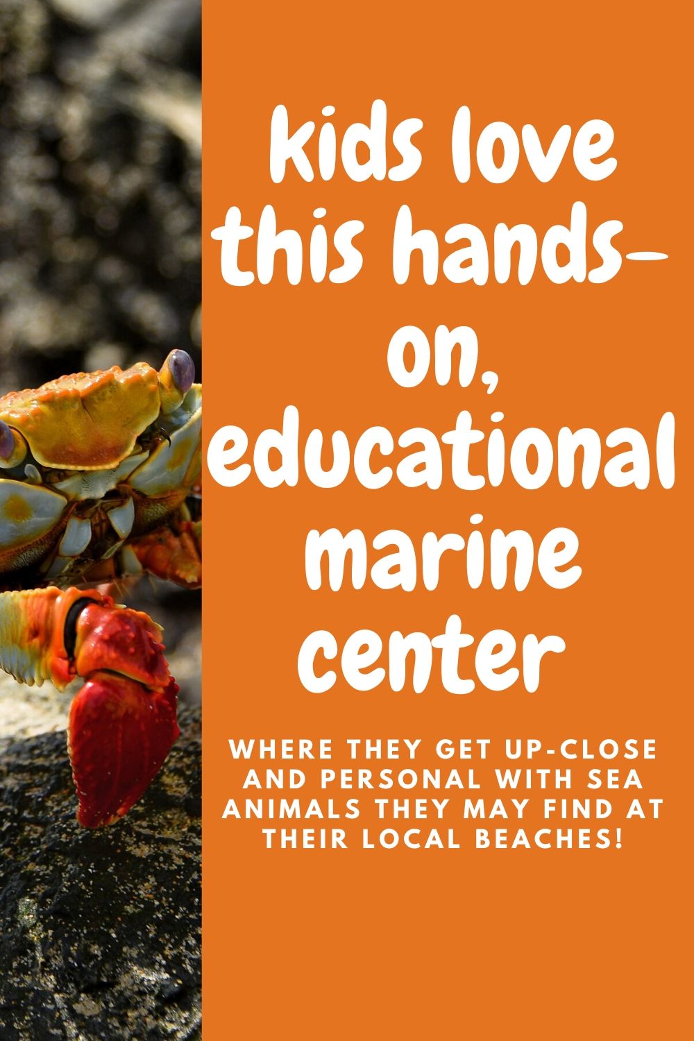 educational marine center