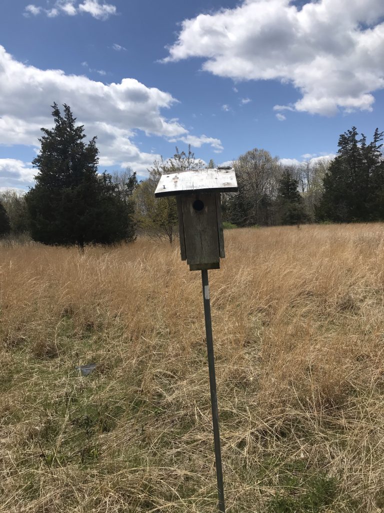 one of many bird boxes at Osamequin Reserve
