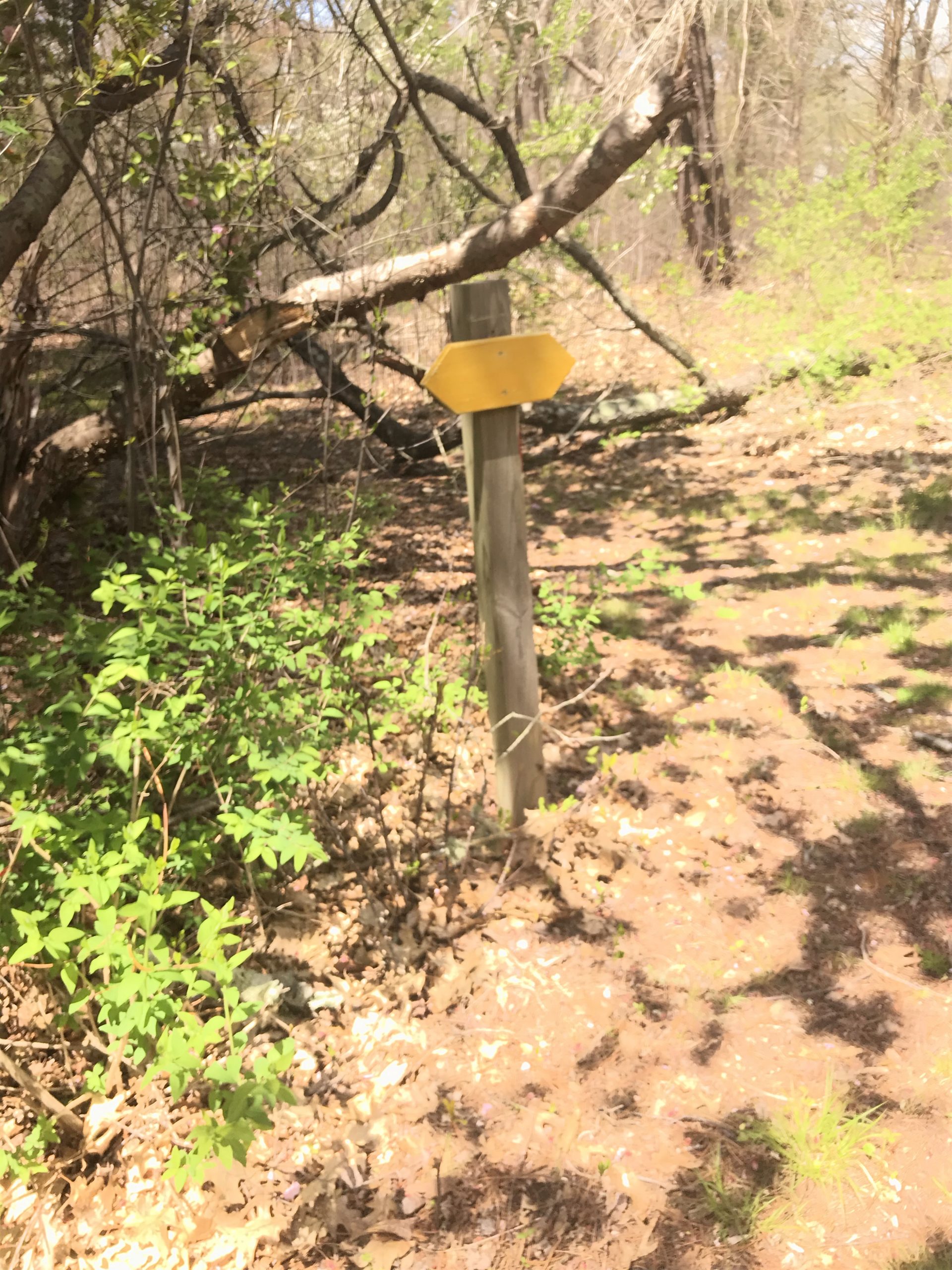 well-marked Color-coded easy trail at Osamequin Reserve