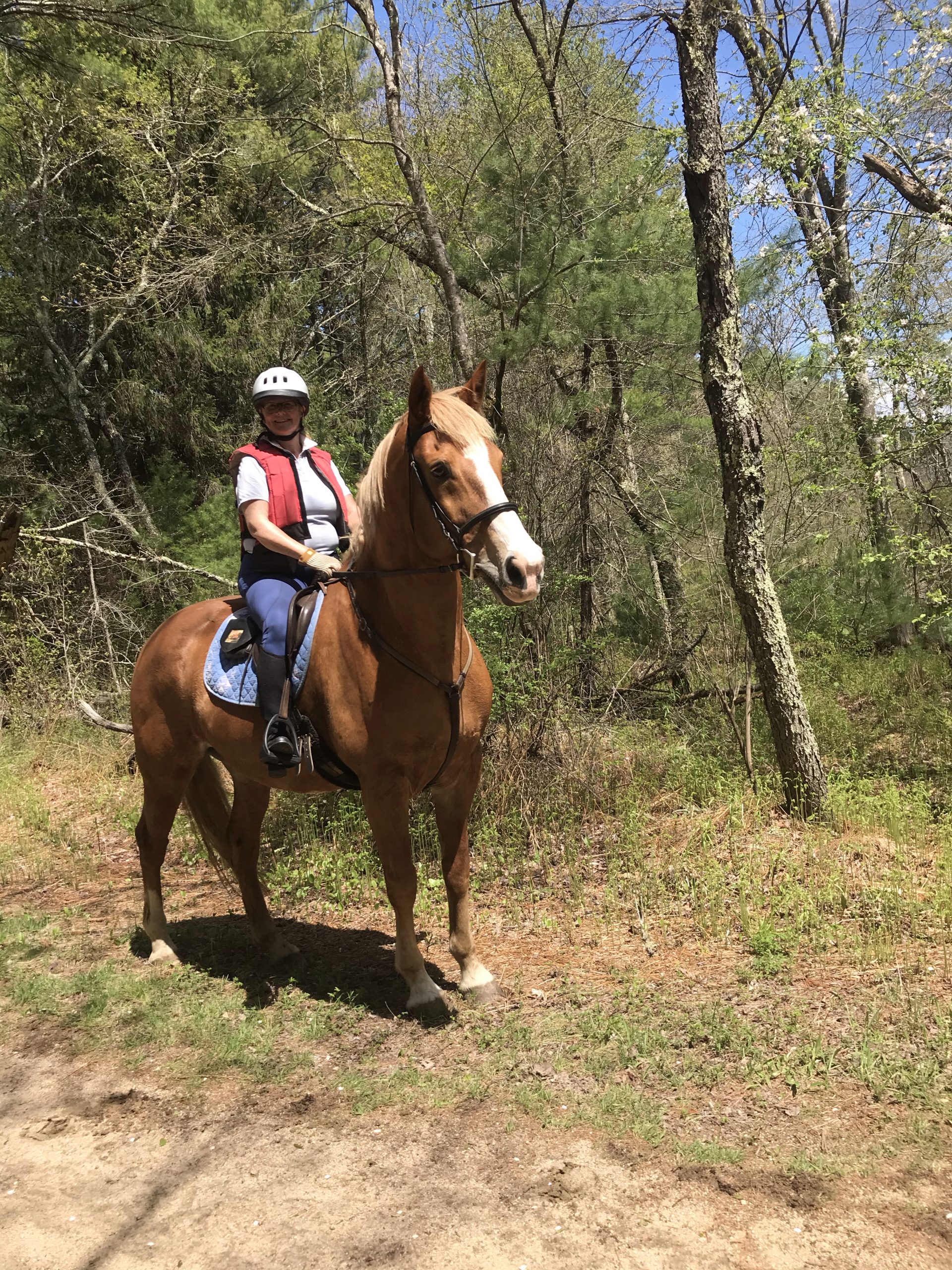 horseback riding in Arcadia Management Area