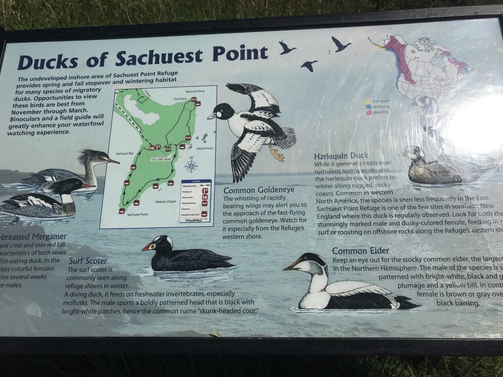 Sachuest Point National Wild life Refuge Middletown
