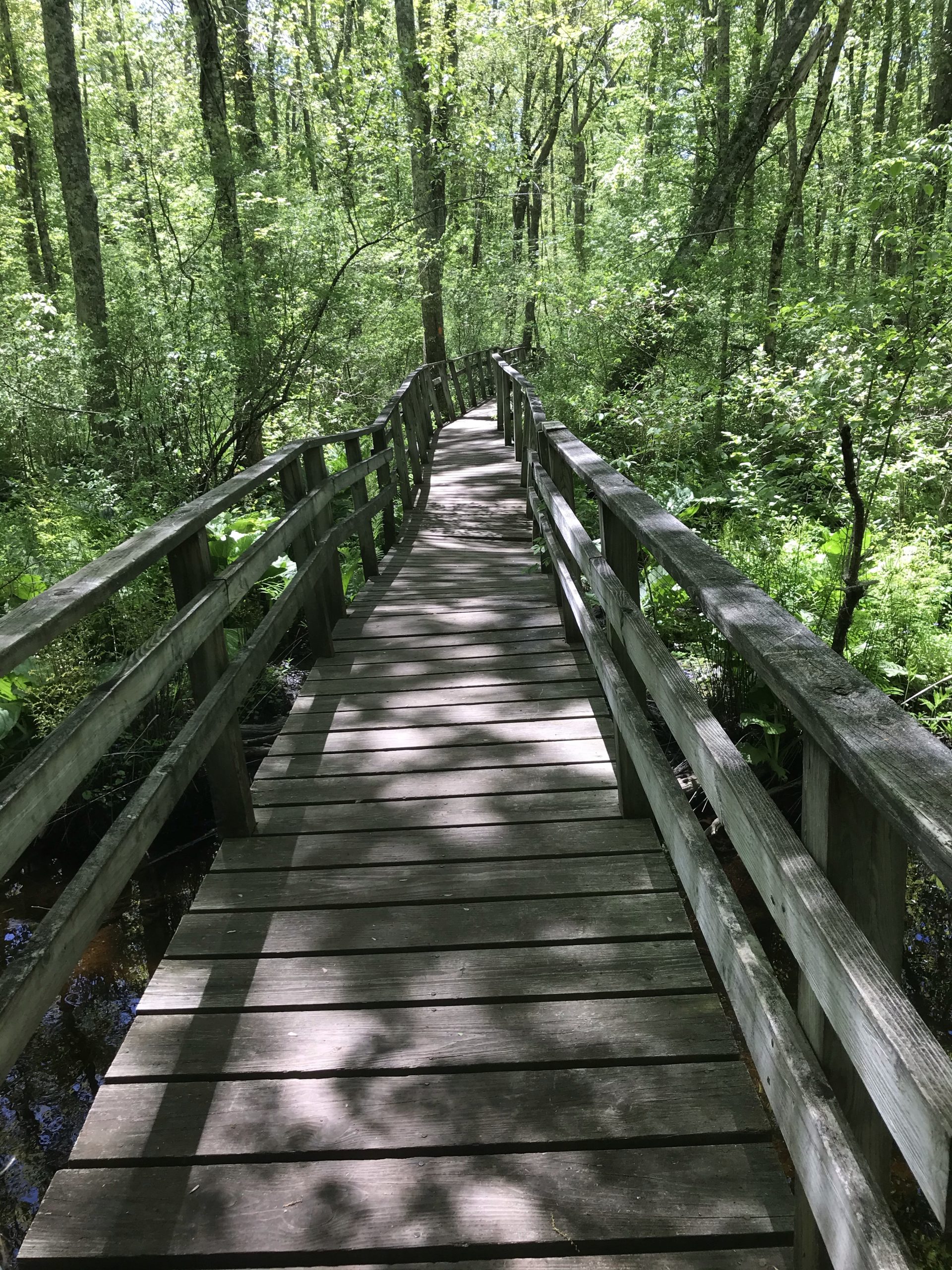 George B. Parker Woodland Wildlife Refuge in Coventry Rhode Island hiking with the kids