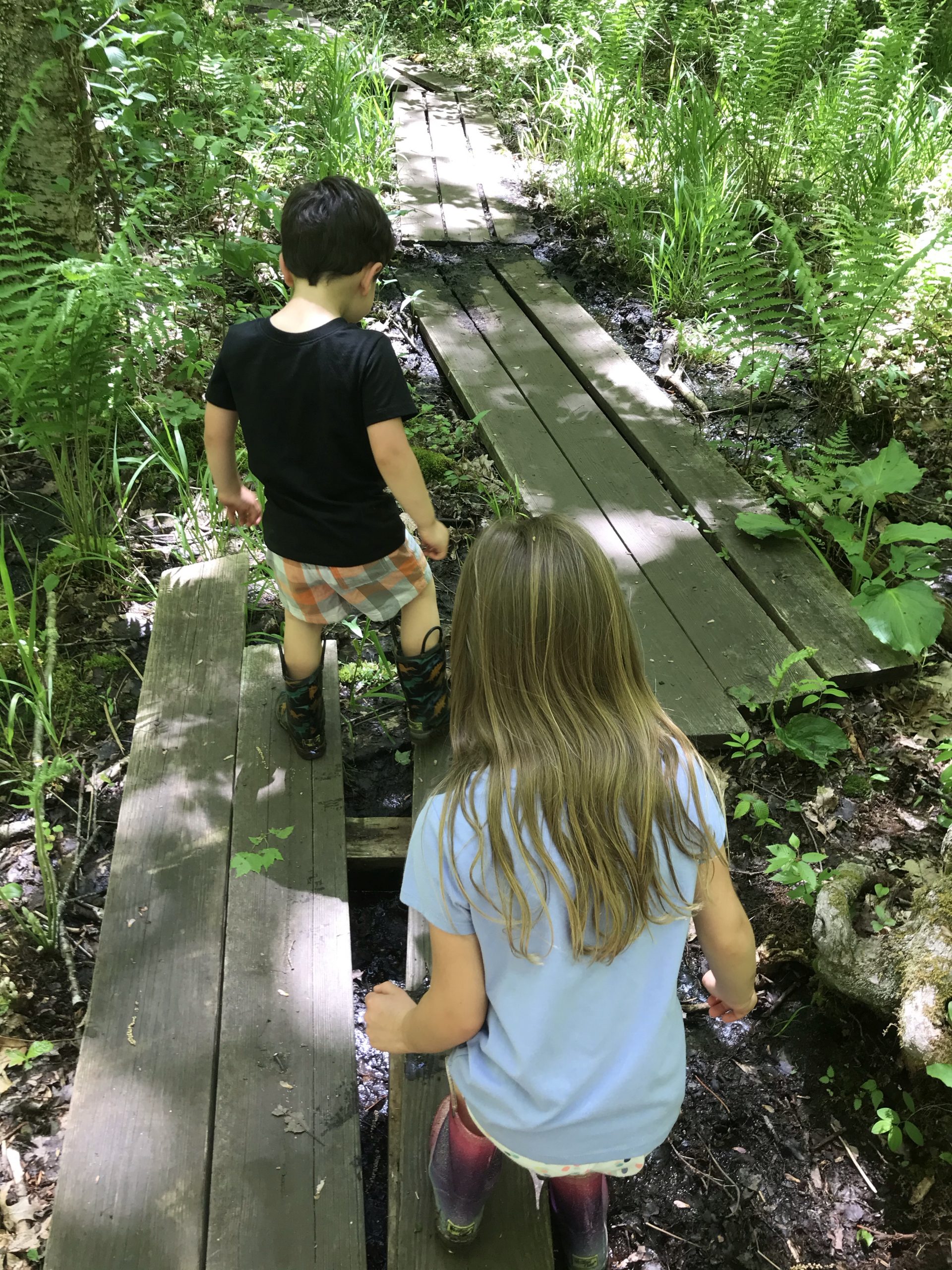 George B. Parker Woodland Wildlife Refuge in Coventry Rhode Island with the kids