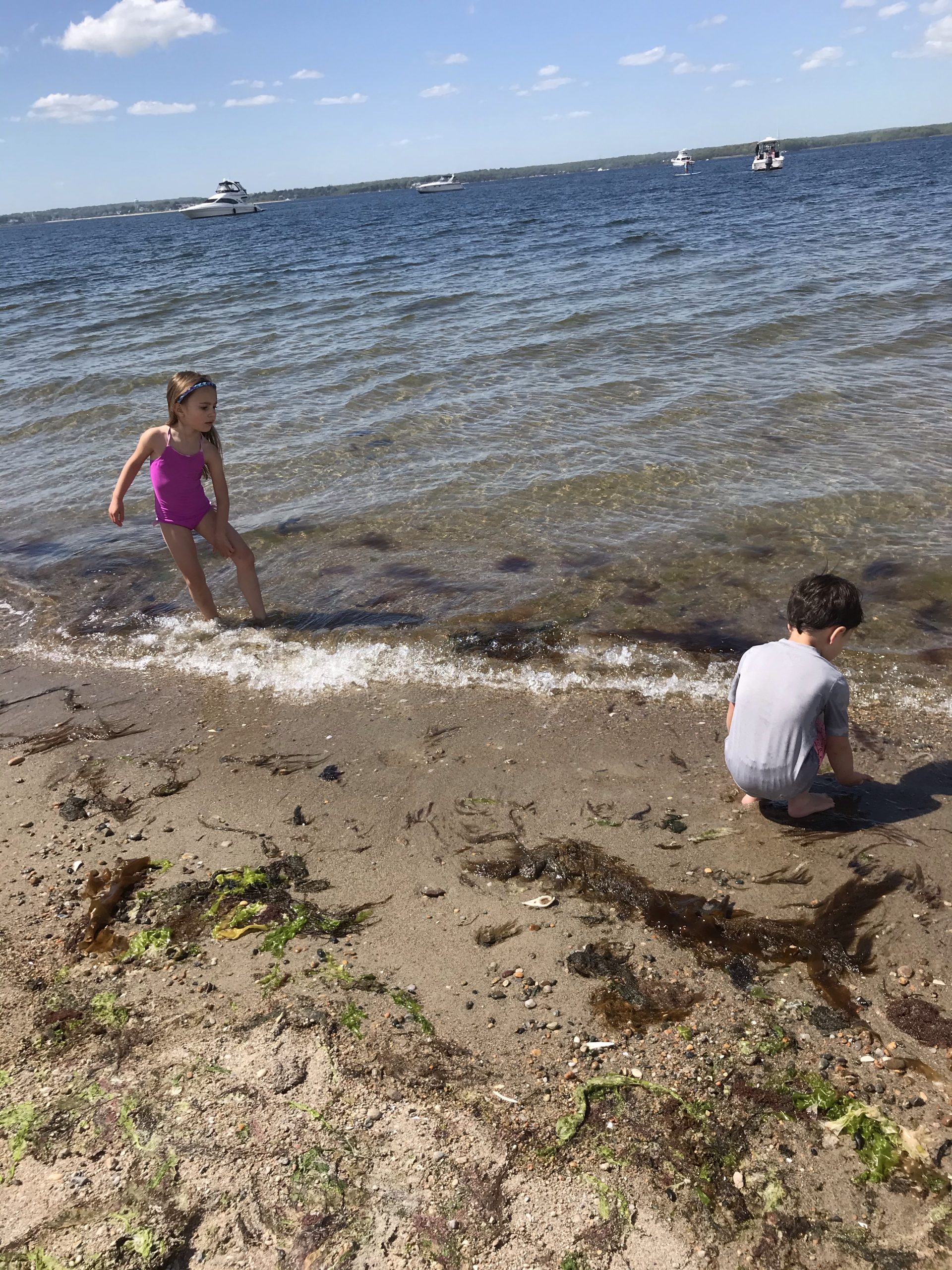 kids playing in the shoreline at the marina side of Napatree Point Conservation in Watch Hill Westerly, RI