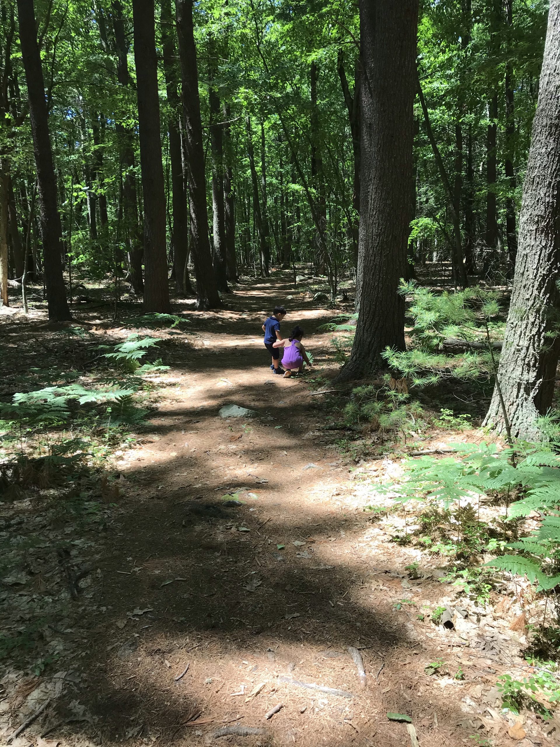 Sandy Trail at Flint Pond with kids