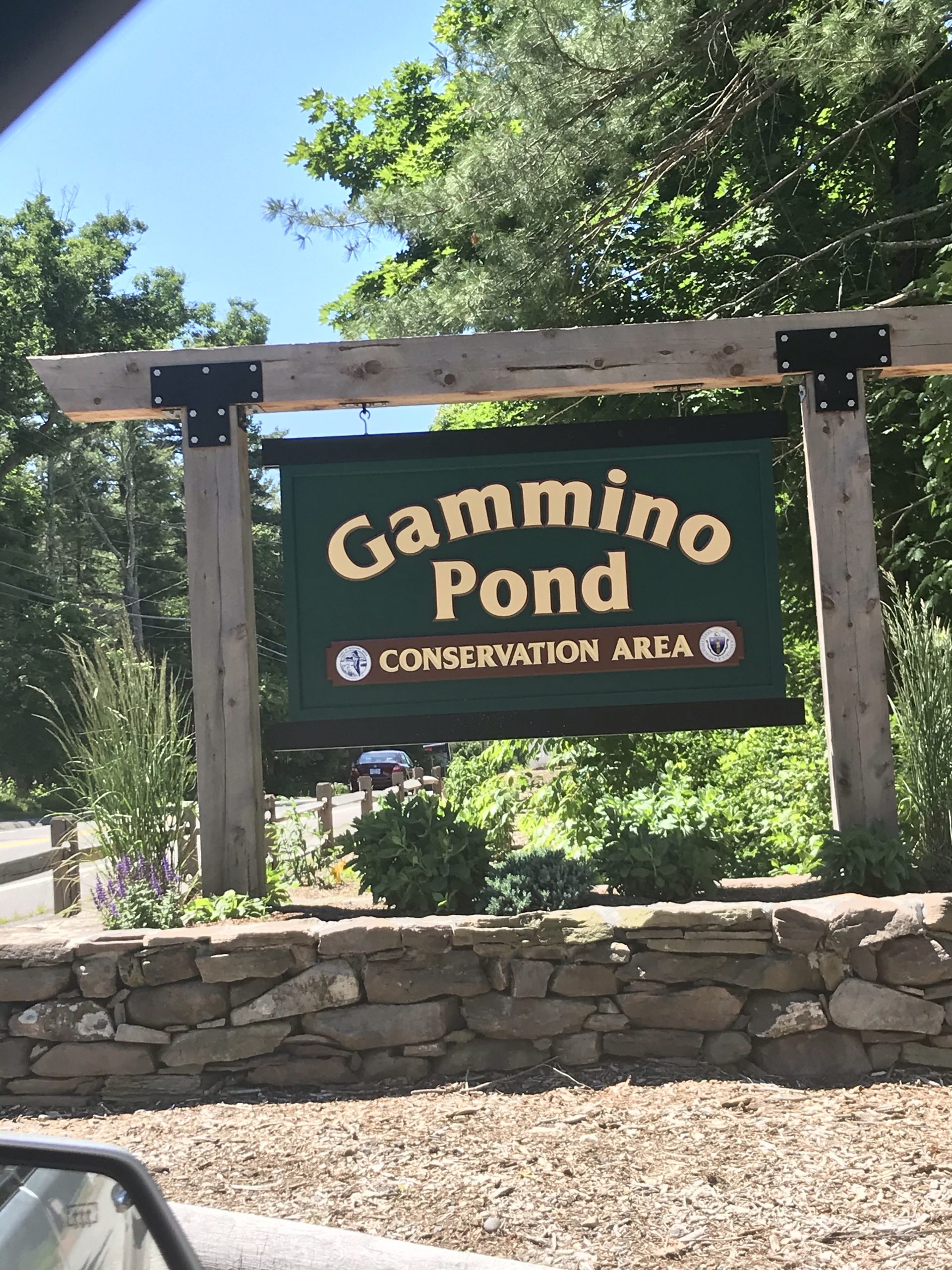 Gammino Pond hiking trails with kids Seekonk, MA