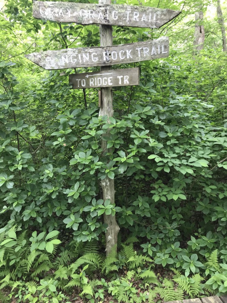 Norman Bird Sanctuary Activities in New England for Young Kids