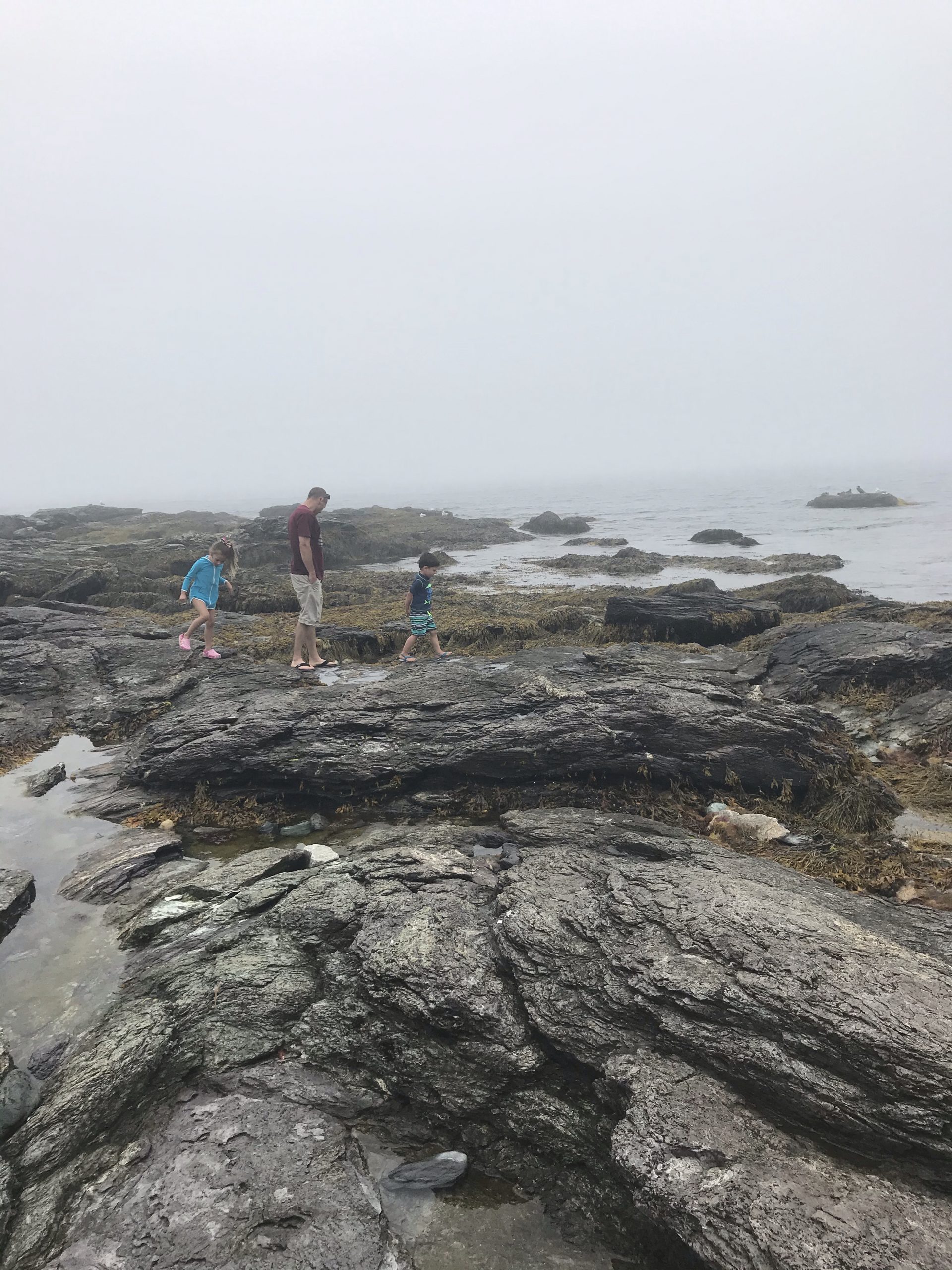 Brenton Point State Park in Newport with kids in the tide pools