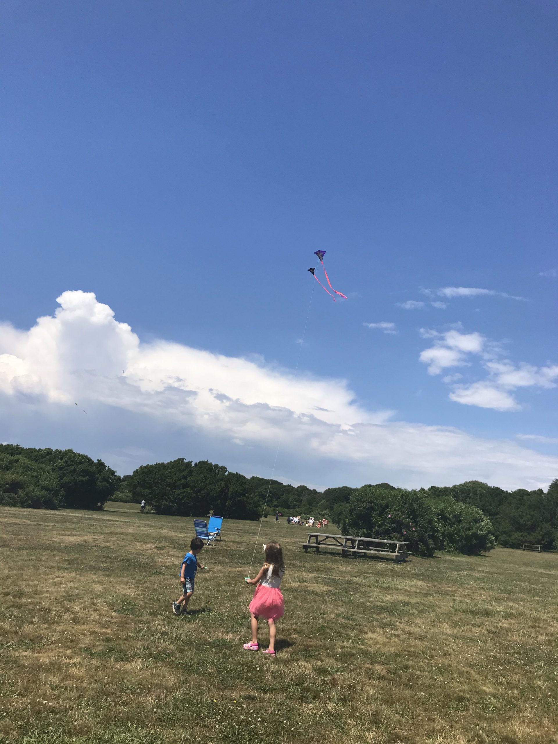 Brenton Point State Park in Newport with kids flying kites
