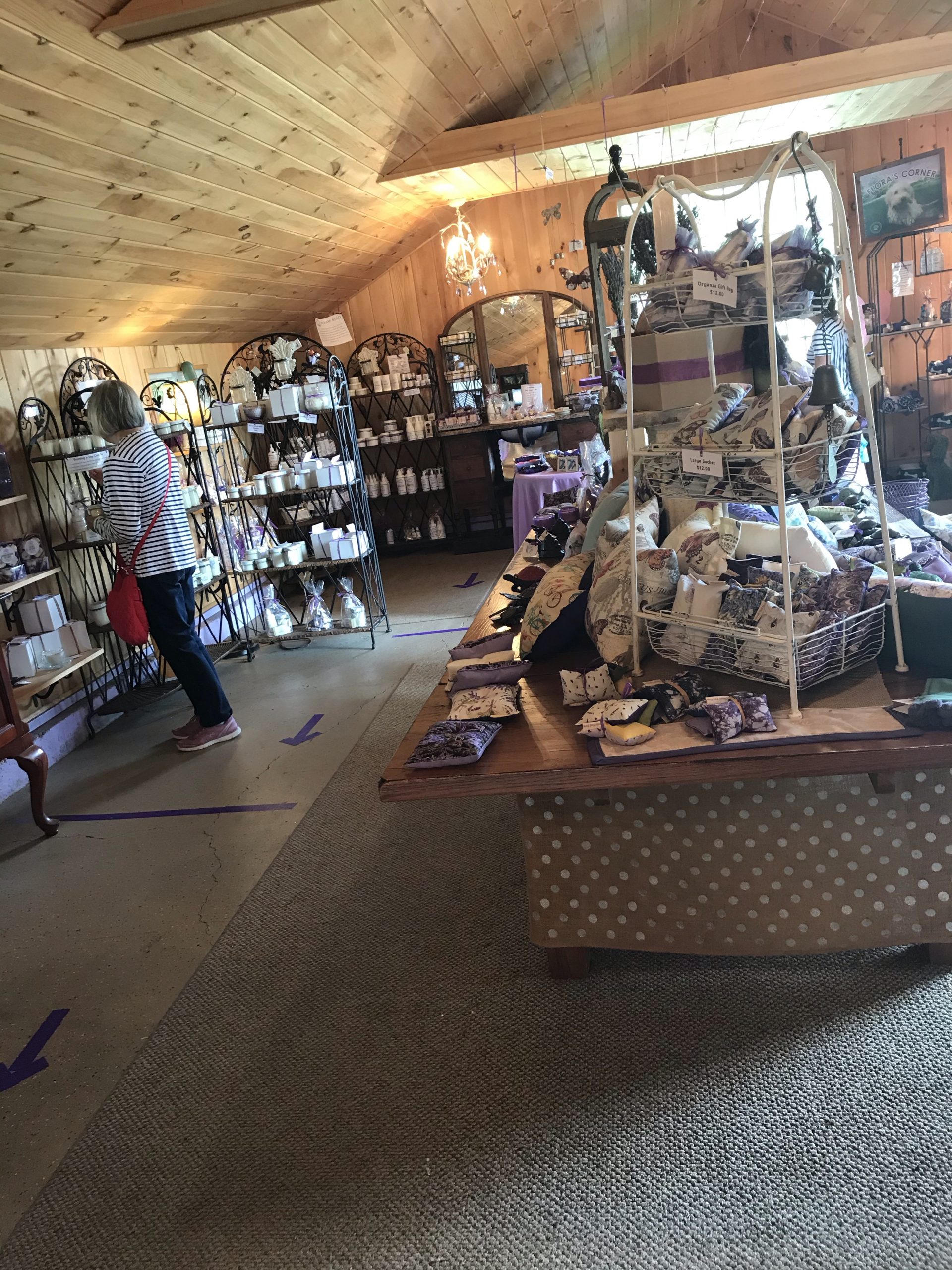 The Lavender Pond Farm in Killingworth, Connecticut with kids