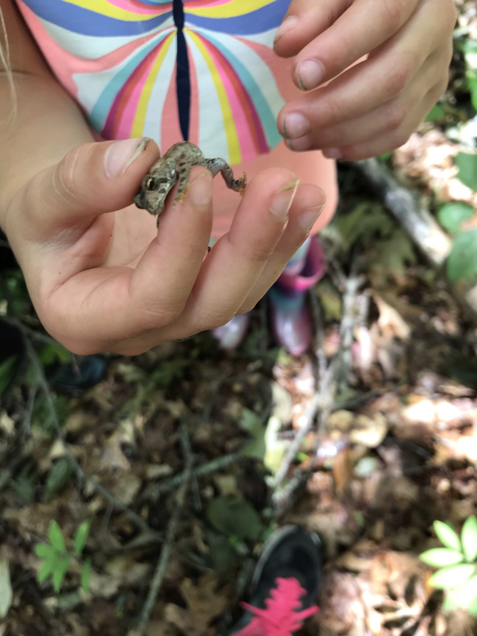 Snake Den Park - Activities in New England for Young Kids