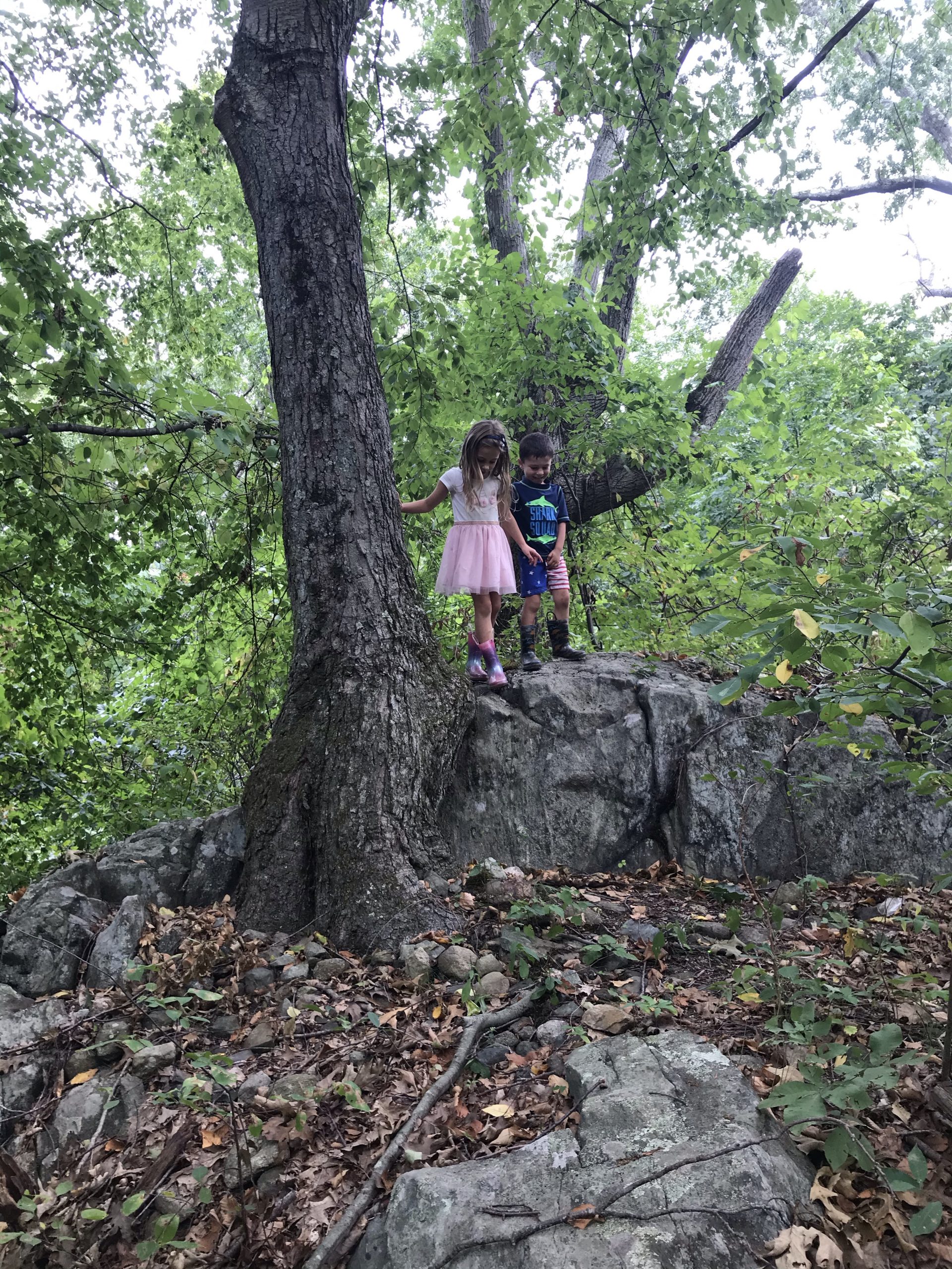 Neutaconkanut Hill Park with kids in Providence Rhode Island