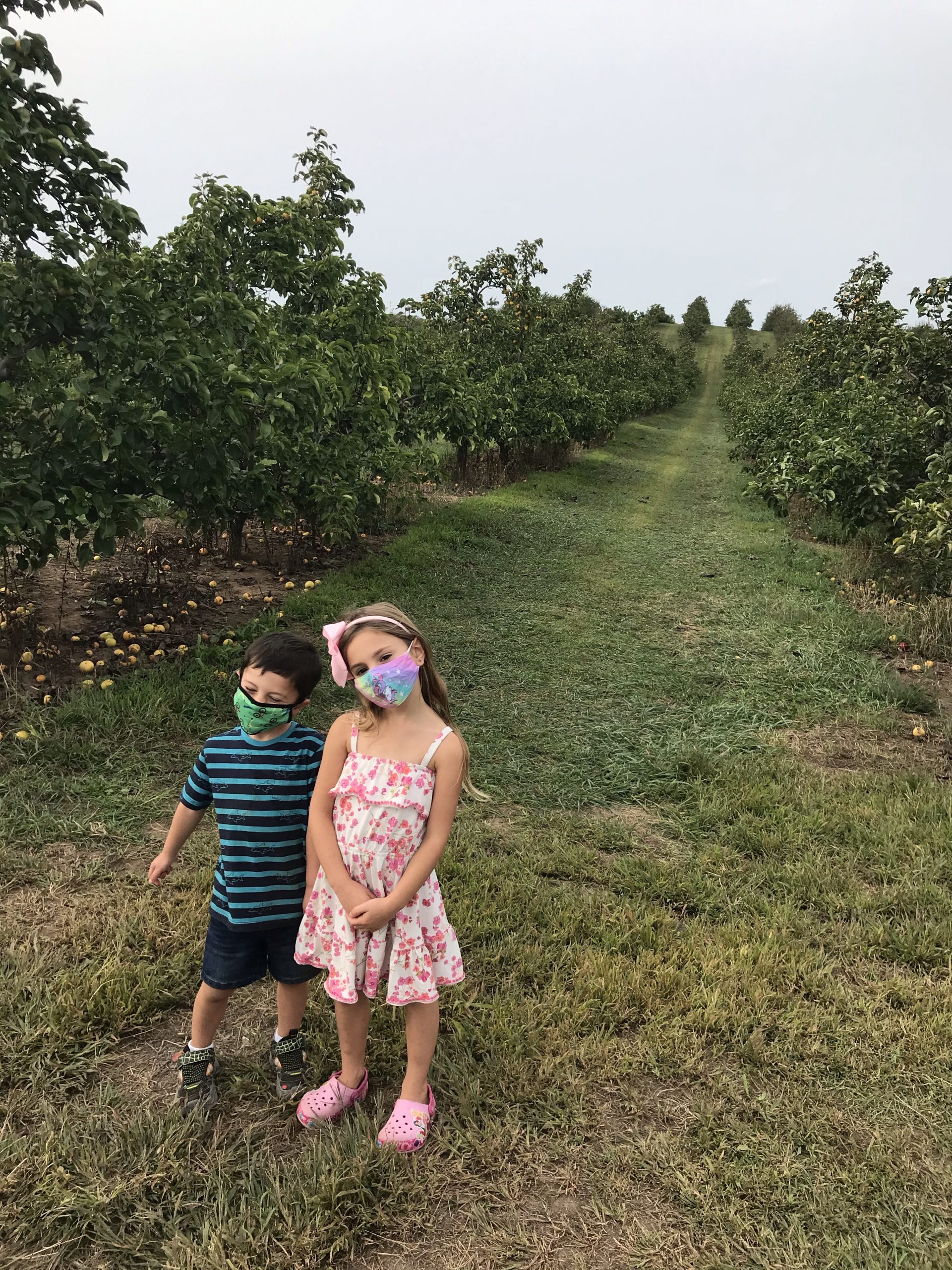 Lyman Orchard in Middlefield, CT with kids