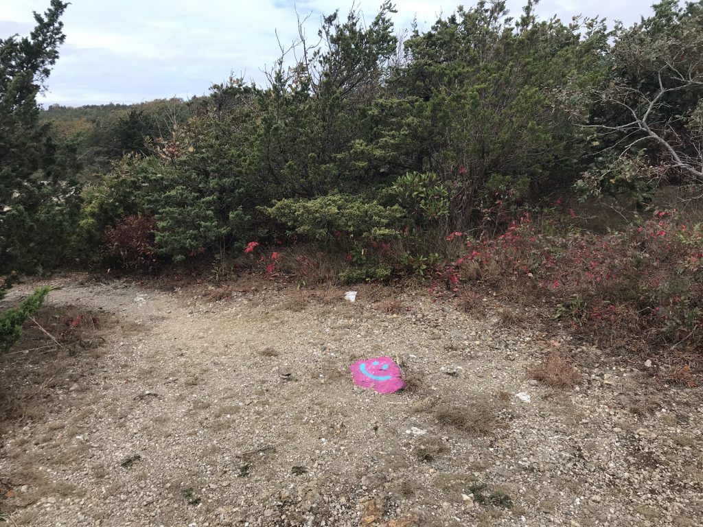 Fort Wetherill Jamestown, Rhode Island with kids coastal views