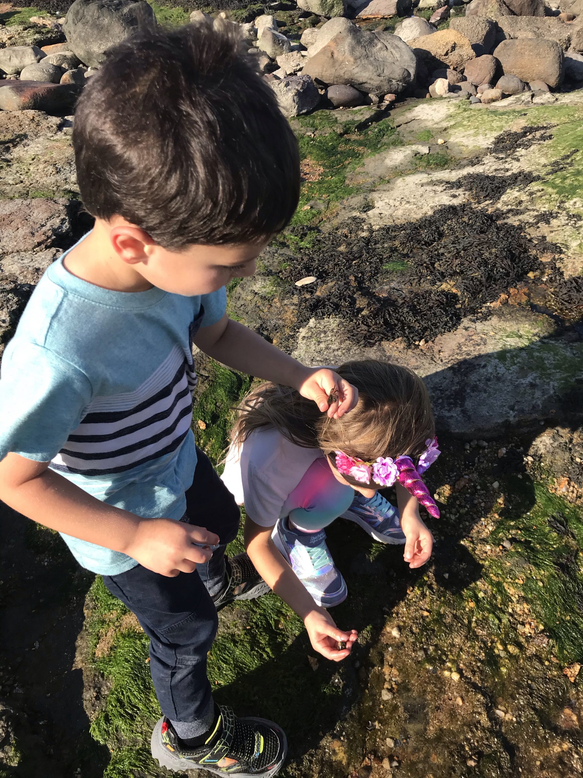 Whale Rock in Narragansett, Rhode Island with kids