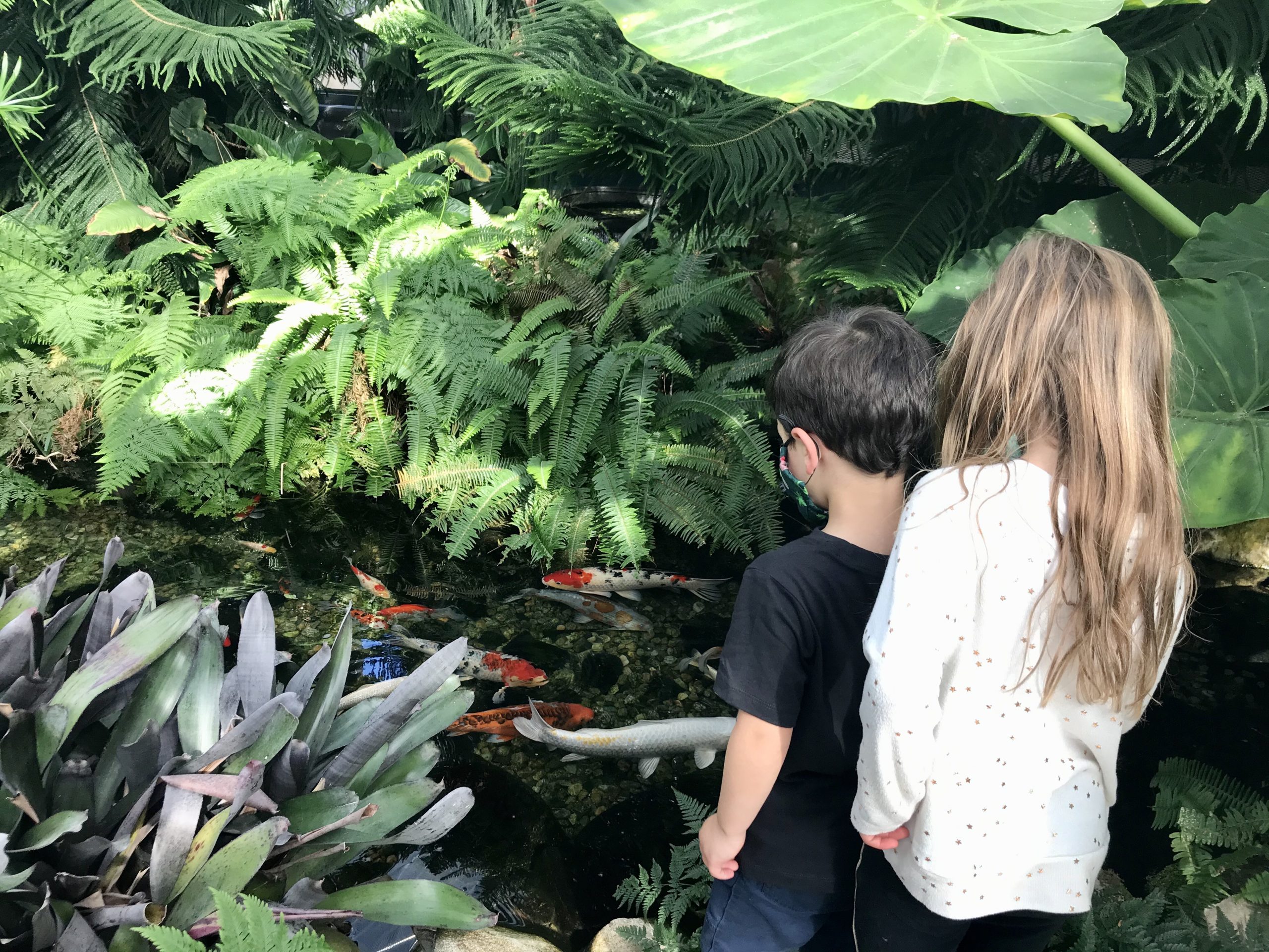 Roger Williams Botanical Center Providence, Rhode Island with kids