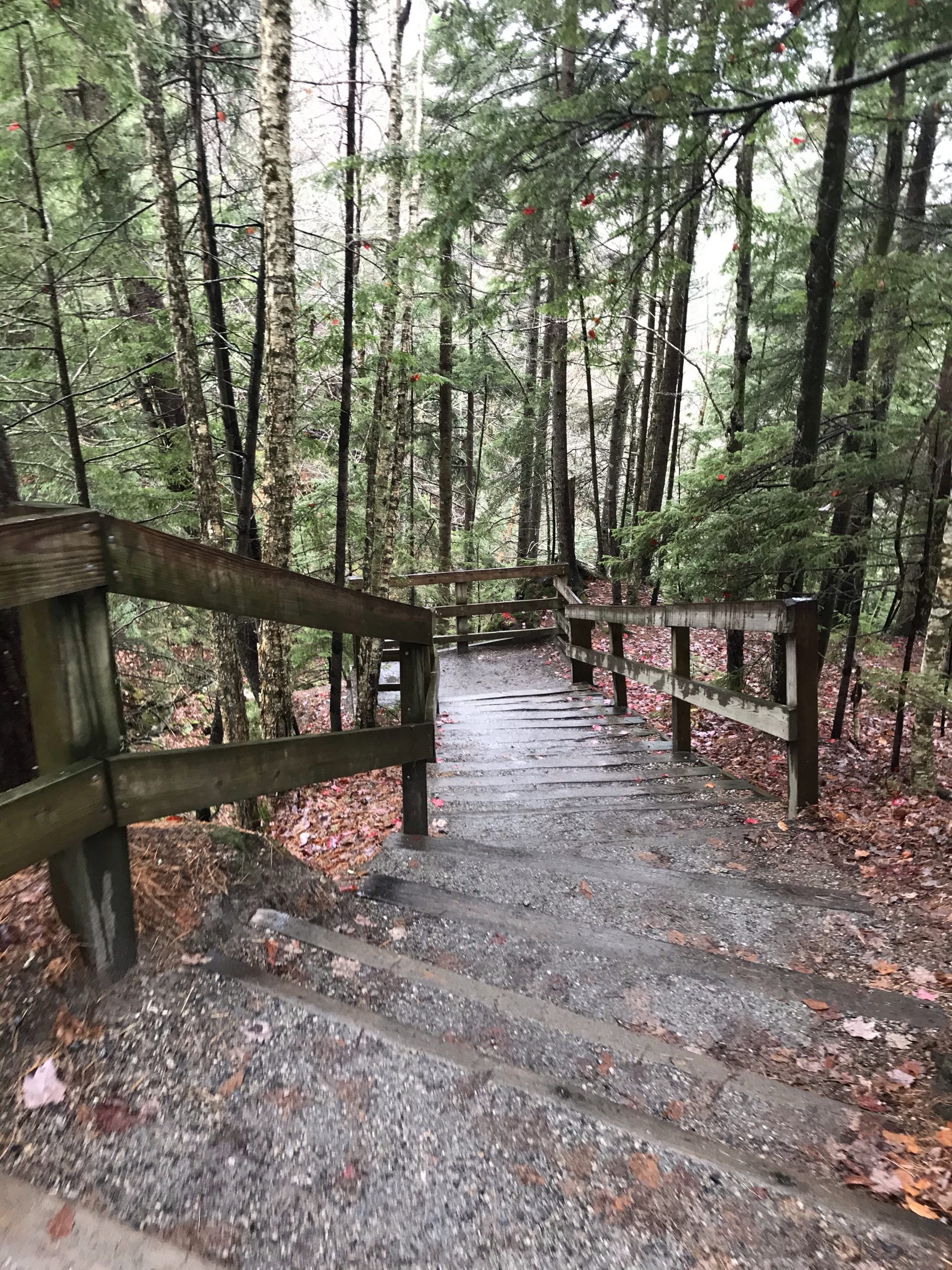 Flume Gorge - Activities in New England for Young Kids