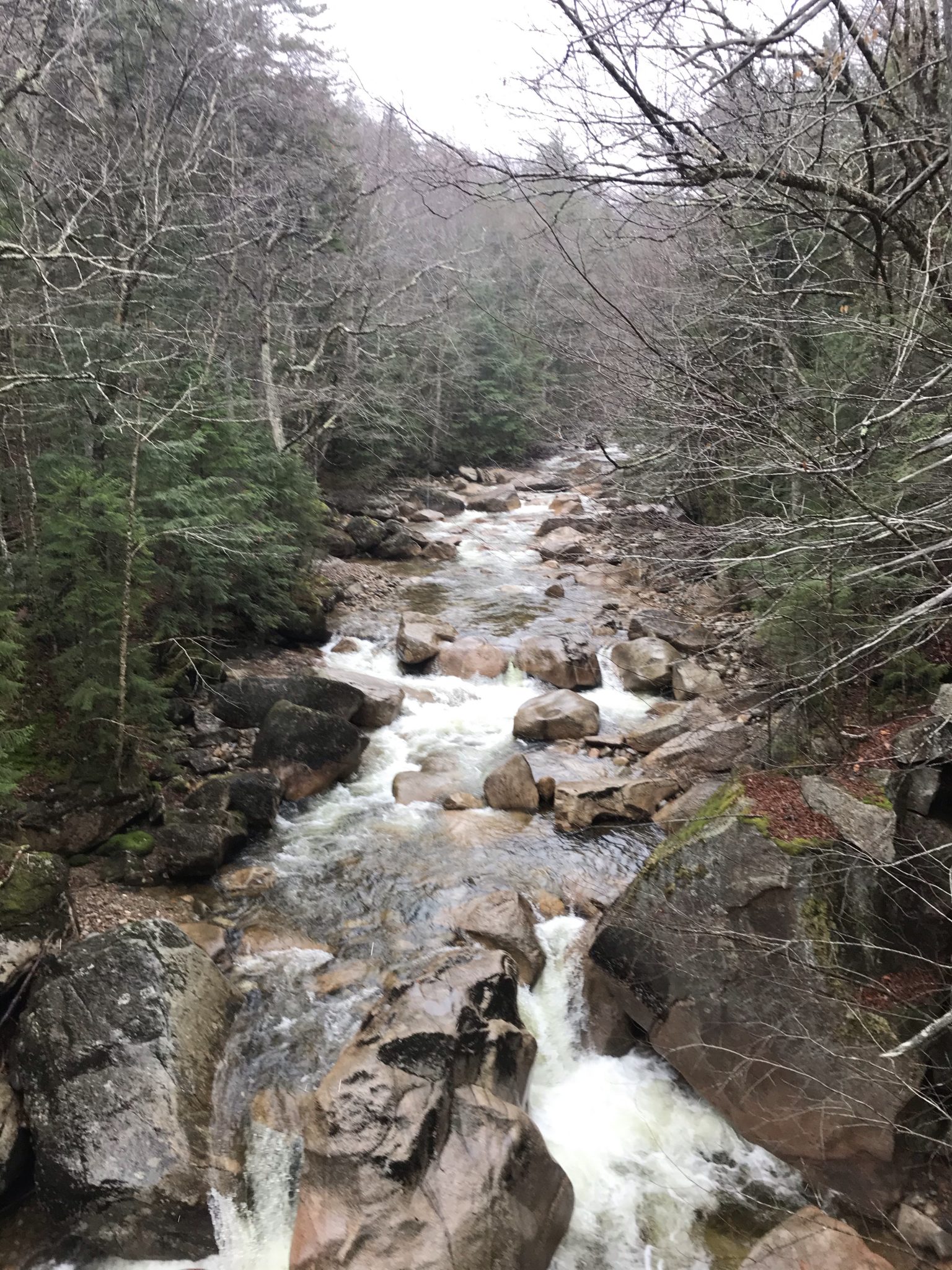 Flume Gorge - Activities in New England for Young Kids