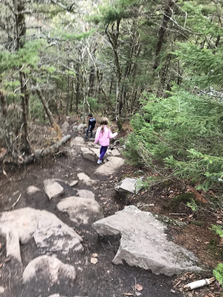 Artists Bluff Hiking Trail with kids in New Hampshire