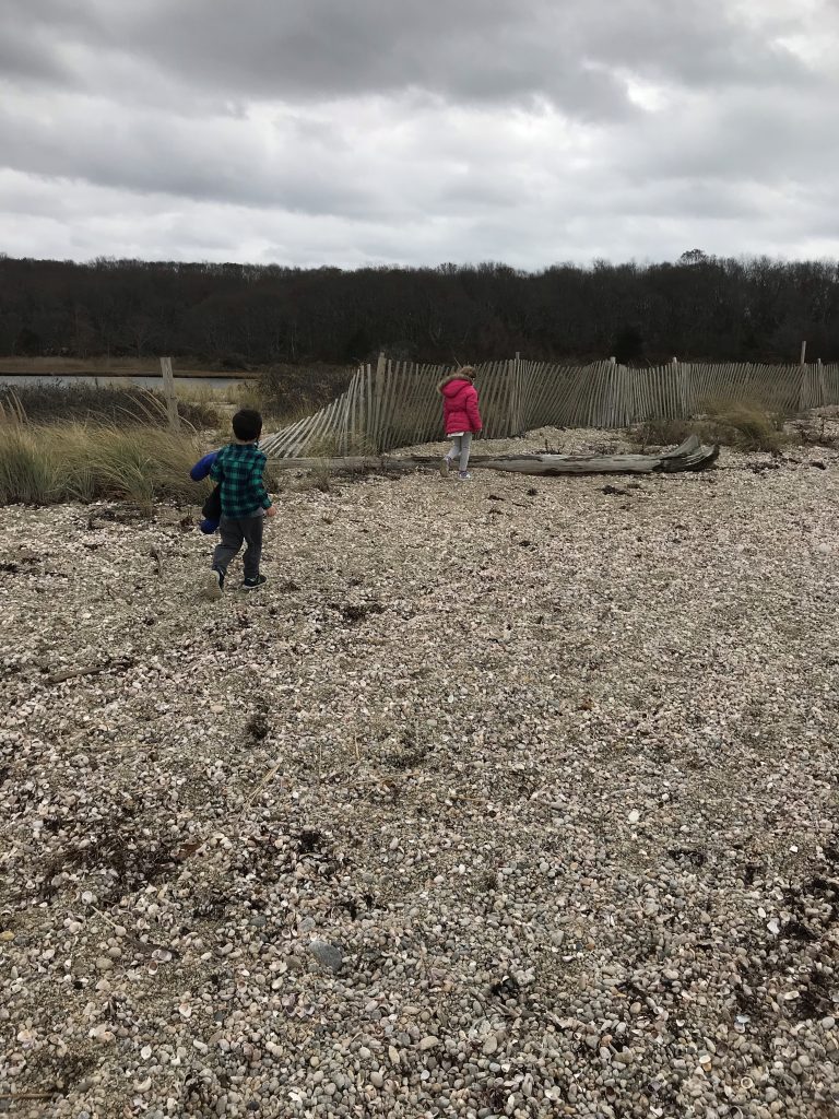 Bluff Point State Park in Groton Connecticut with kids