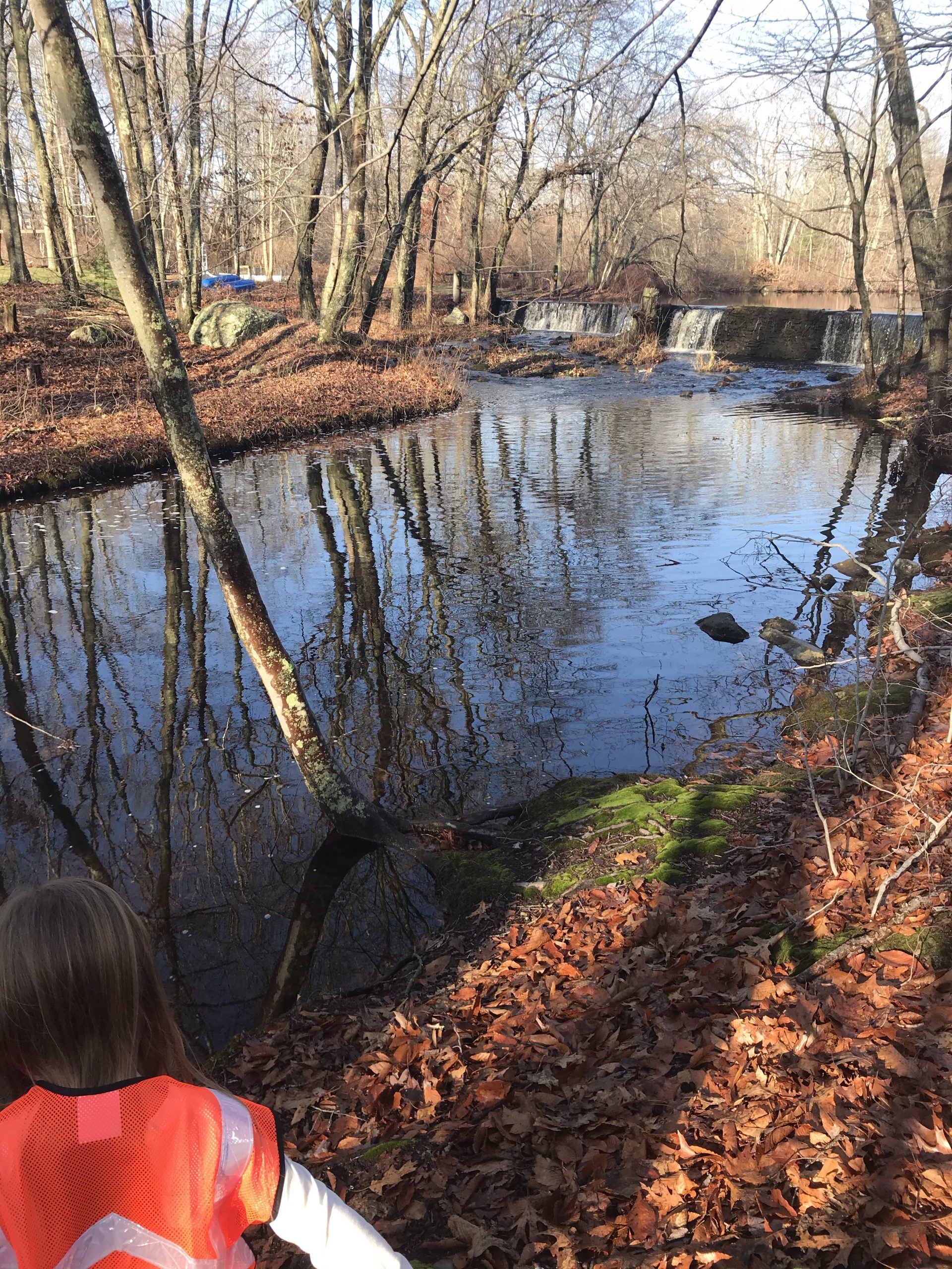 Linguicia Loop Trail with kids in Swansea, Massachusetts