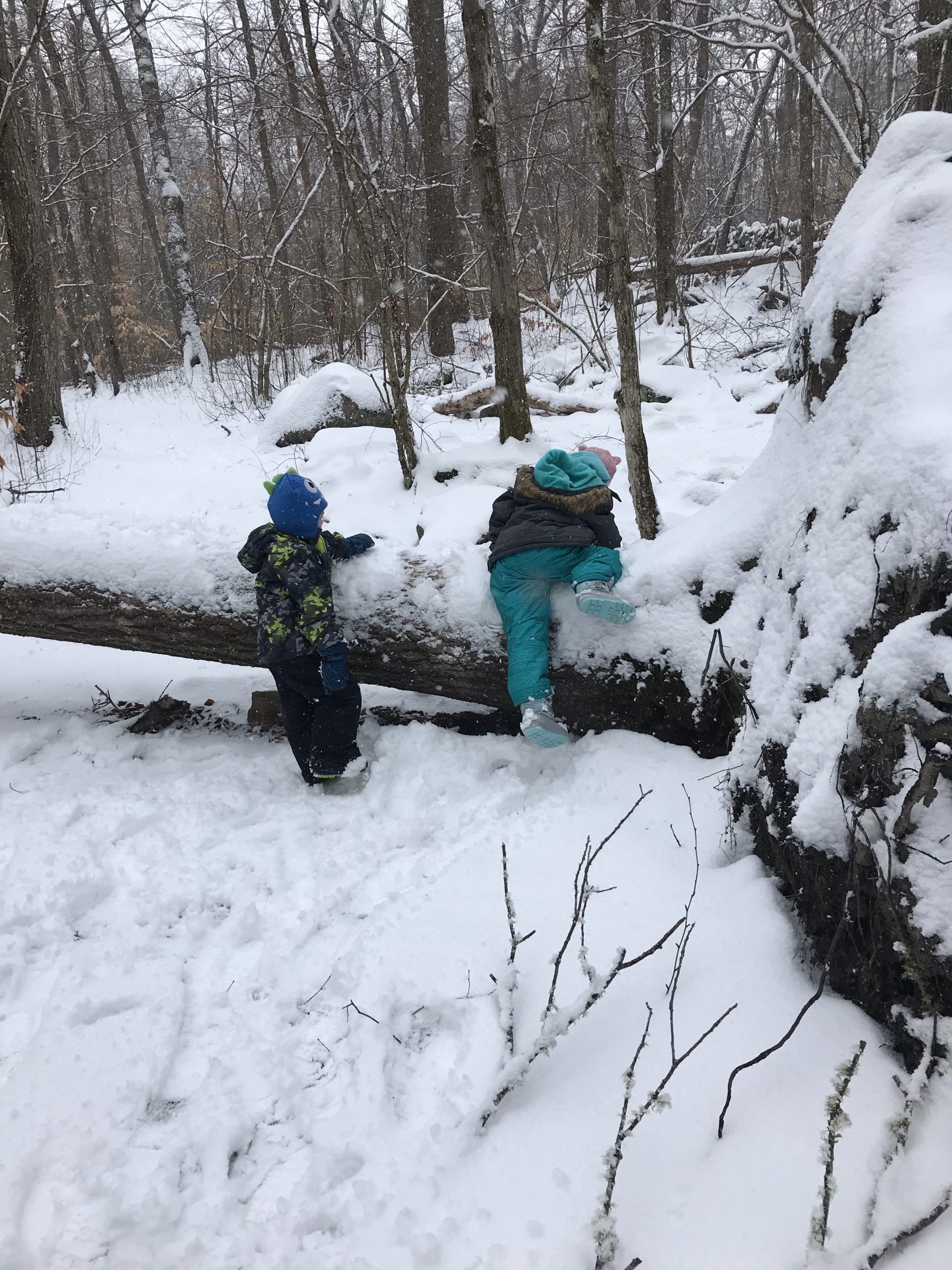 Weetamoo Woods with kids in Tiverton Rhode Island