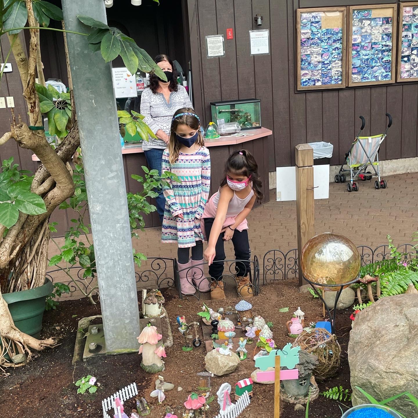 The Butterfly Place in Westford, Massachusetts Tyngsboro, Massachusetts with kids