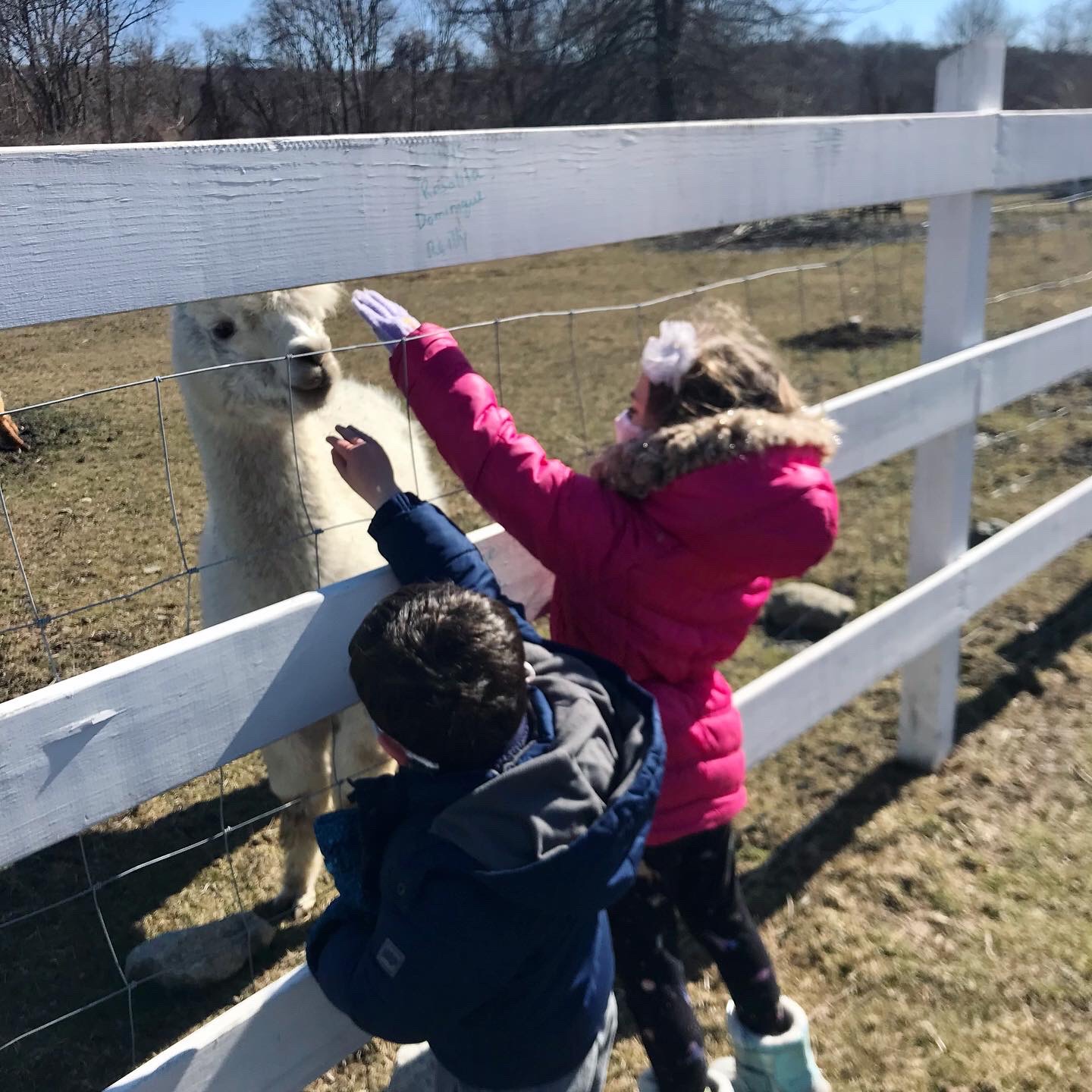 Tiverton, Rhode Island West Place Animal Sanctuary with kids