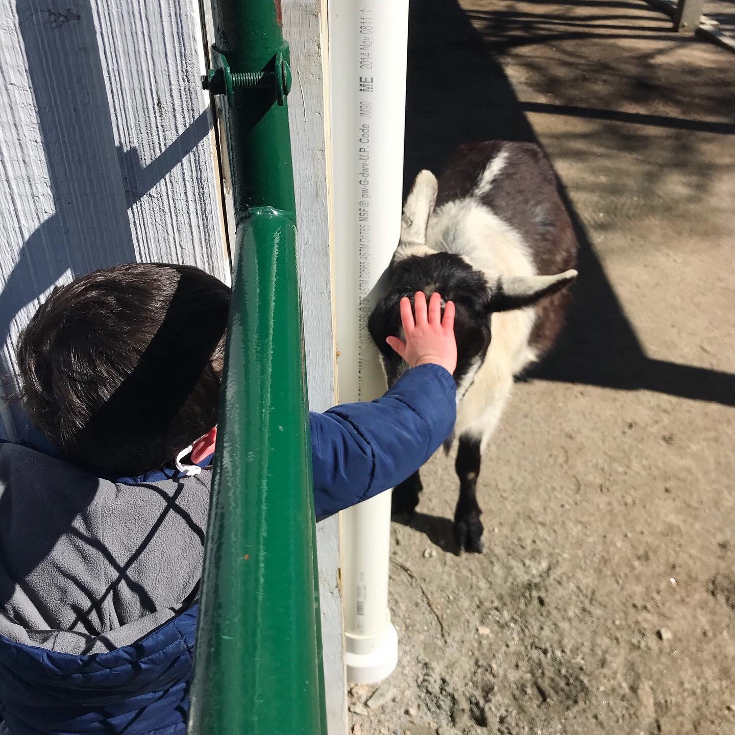 Tiverton, Rhode Island West Place Animal Sanctuary with kids