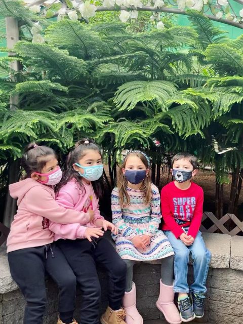 The kids loved The Butterfly Place. They loved to see the butterflies fluttering around them and enjoyed the fairy gardens