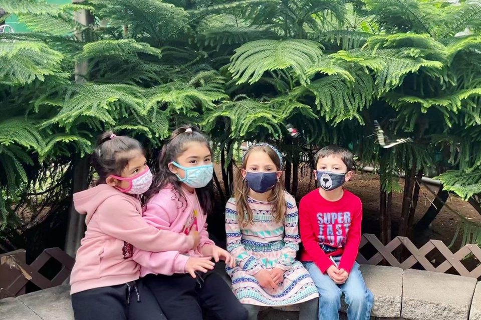 The kids loved The Butterfly Place. They loved to see the butterflies fluttering around them and enjoyed the fairy gardens