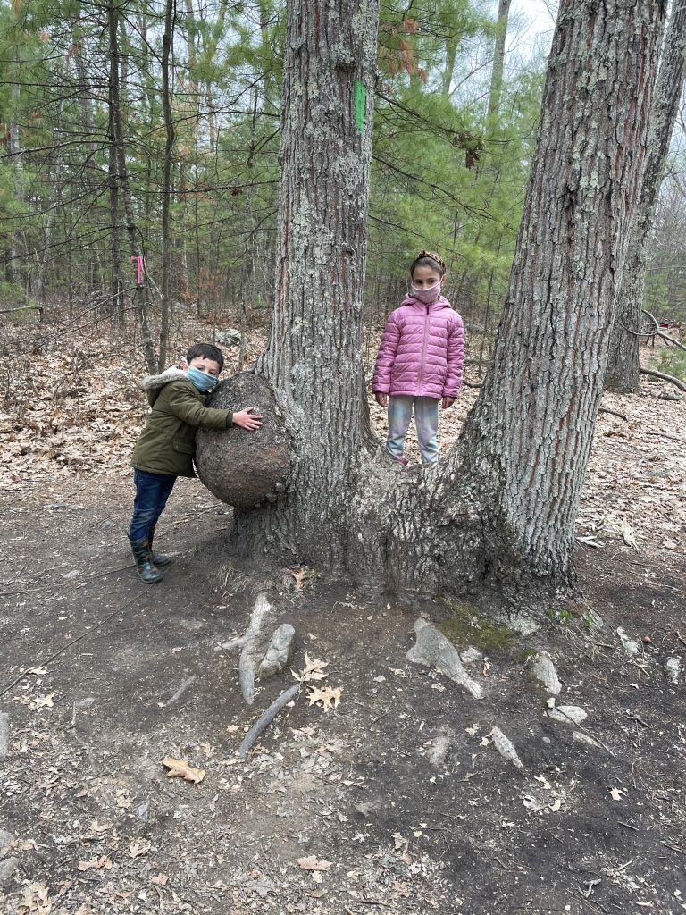 Wolf Hill Forest Preserve with kids in Smithfield, Rhode Island