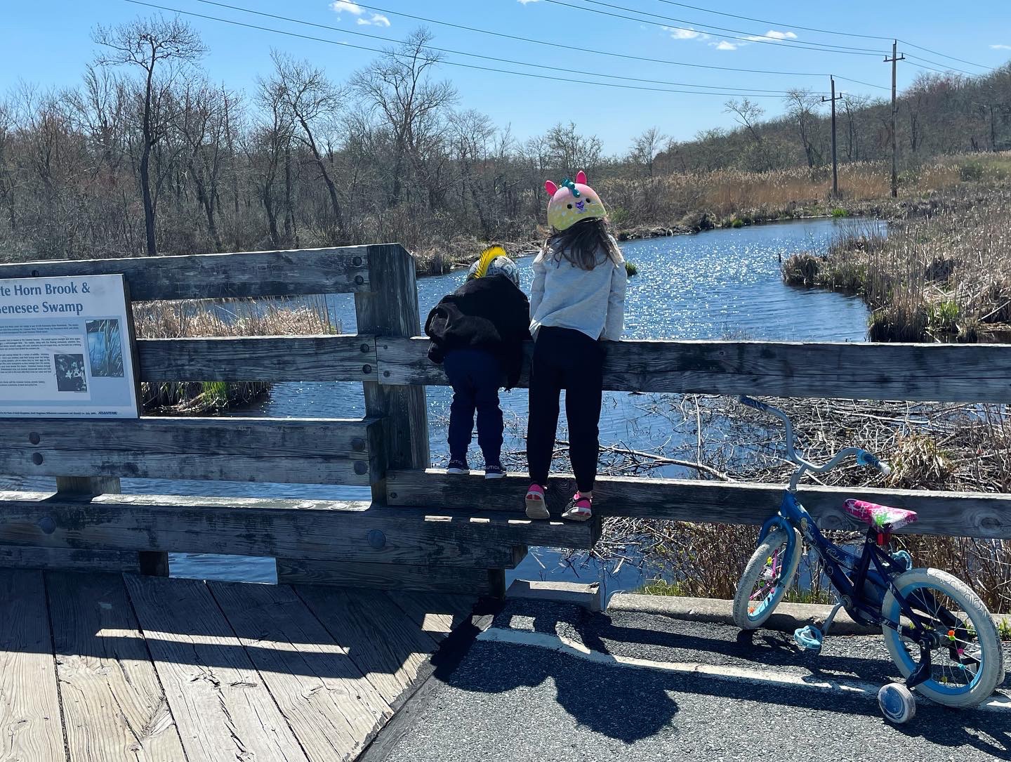 South County Bike Trail in Rhode Island with kids