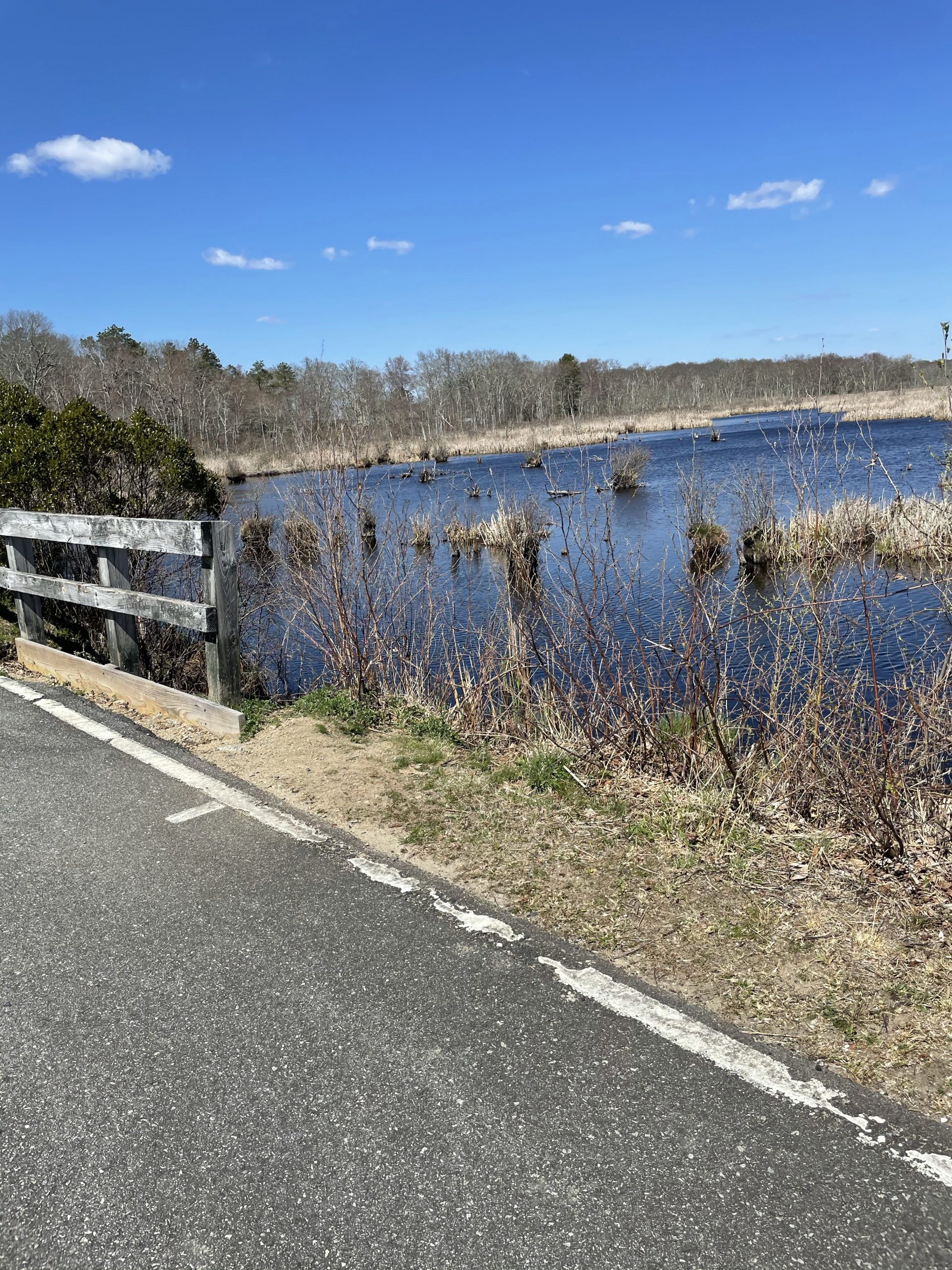 South County Bike Trail in Rhode Island with kids