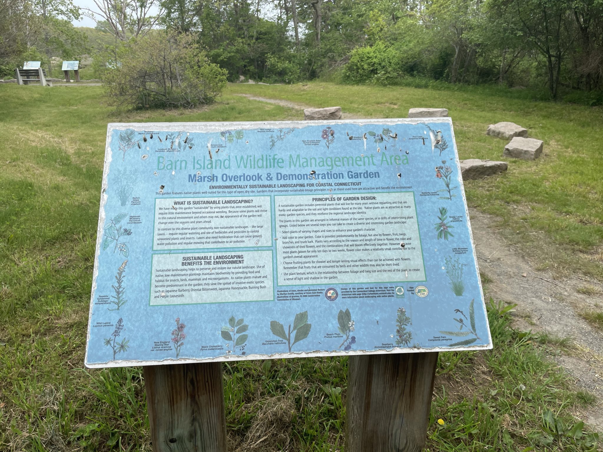 Atkinson island wildlife management area