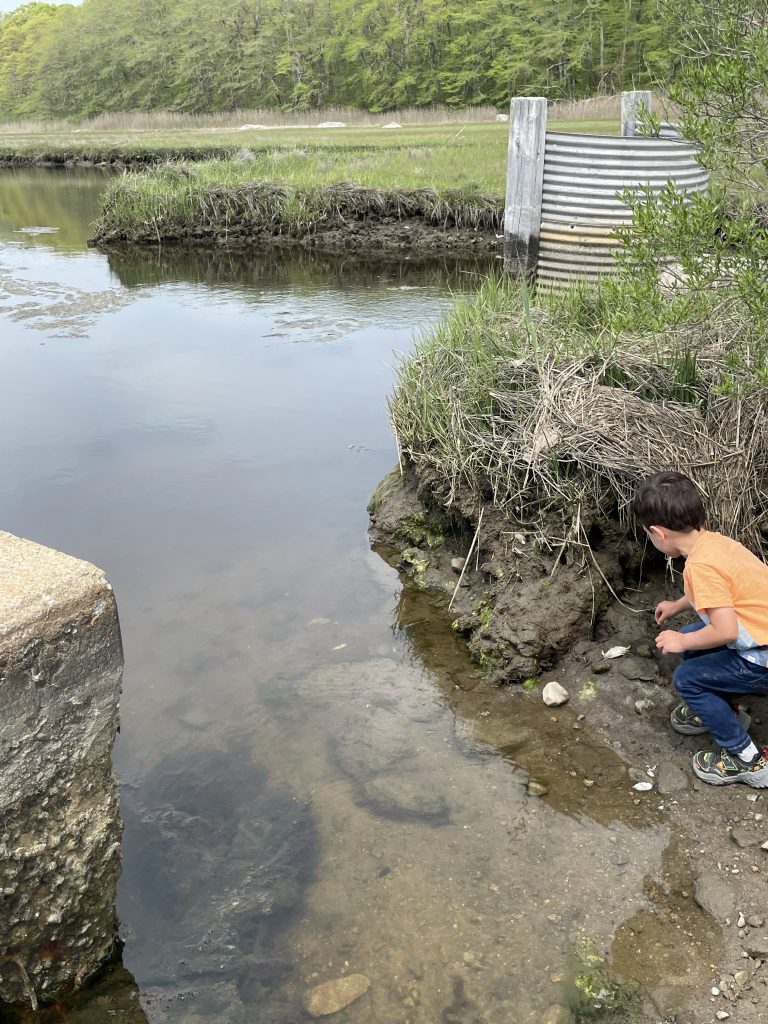 Barn Island Wildlife Management Area with kids in Stonington, Connecticut