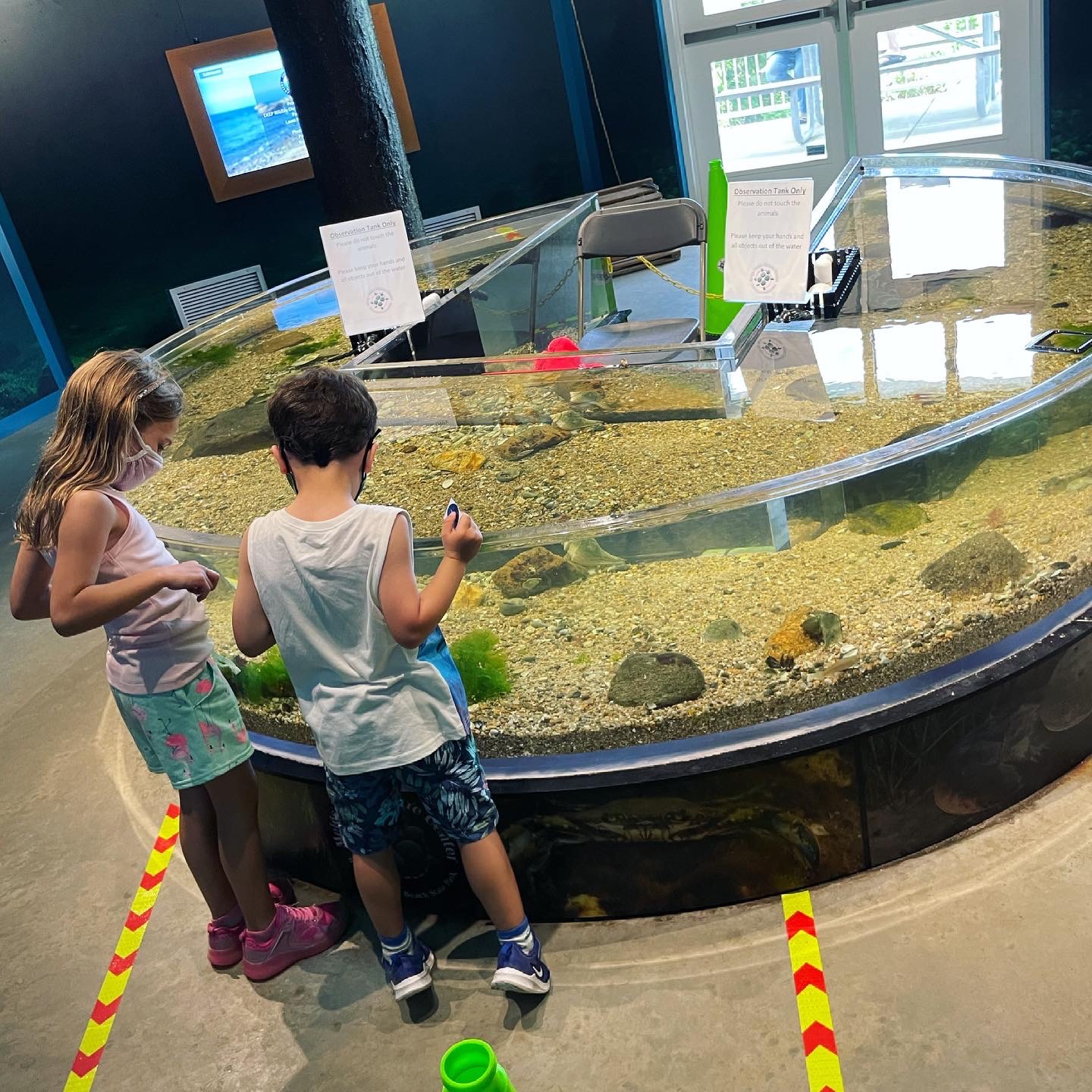 Meig's Point Nature Center with kids in Madison, Connecticut in Hammonasset Beach