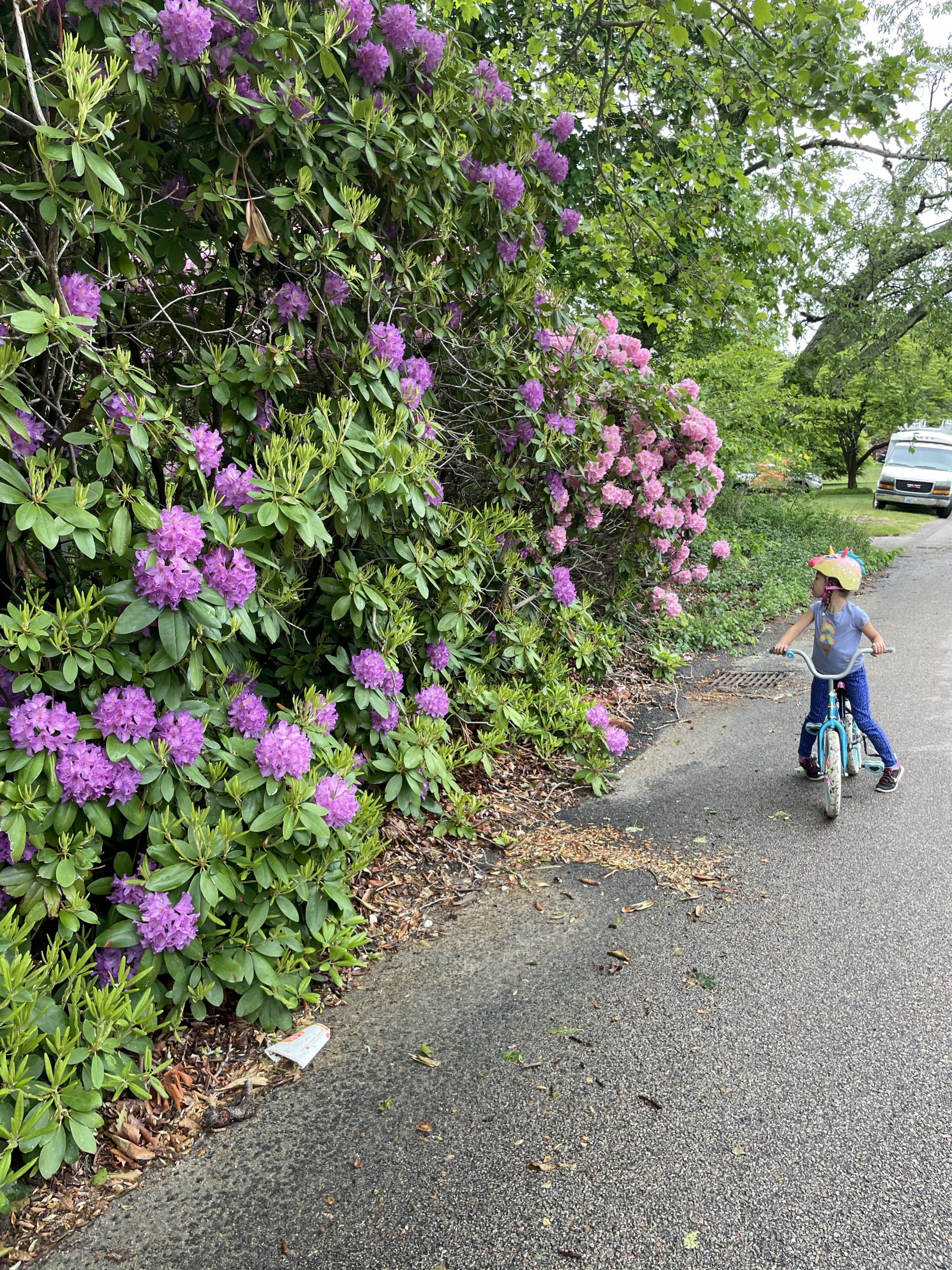 South County Bike Trail in Rhode Island with kids