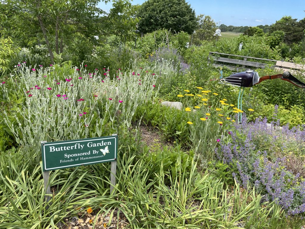 Meig’s Point Nature Center - Activities in New England for Young Kids