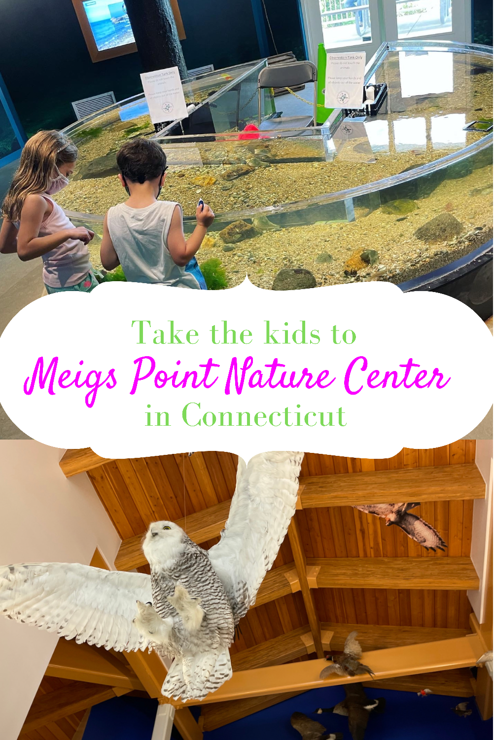 Meig's Point Nature Center in Hammonasset Beach Connecticut with kids