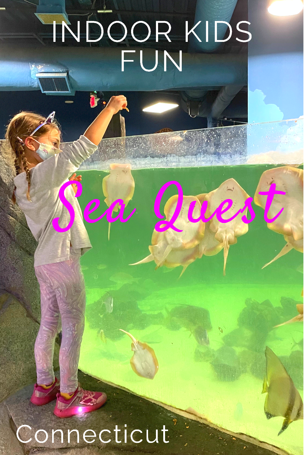 Sea Quest Trumbull, Connecticut with kids