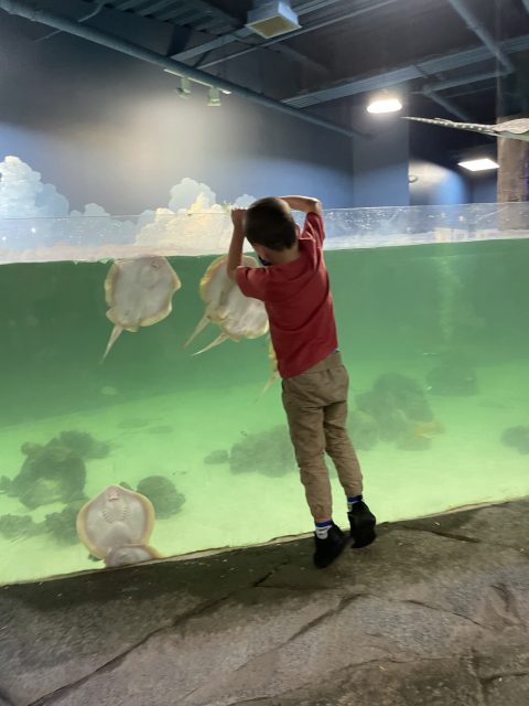 kids visiting Sea Quest in Connecticut for indoor fun