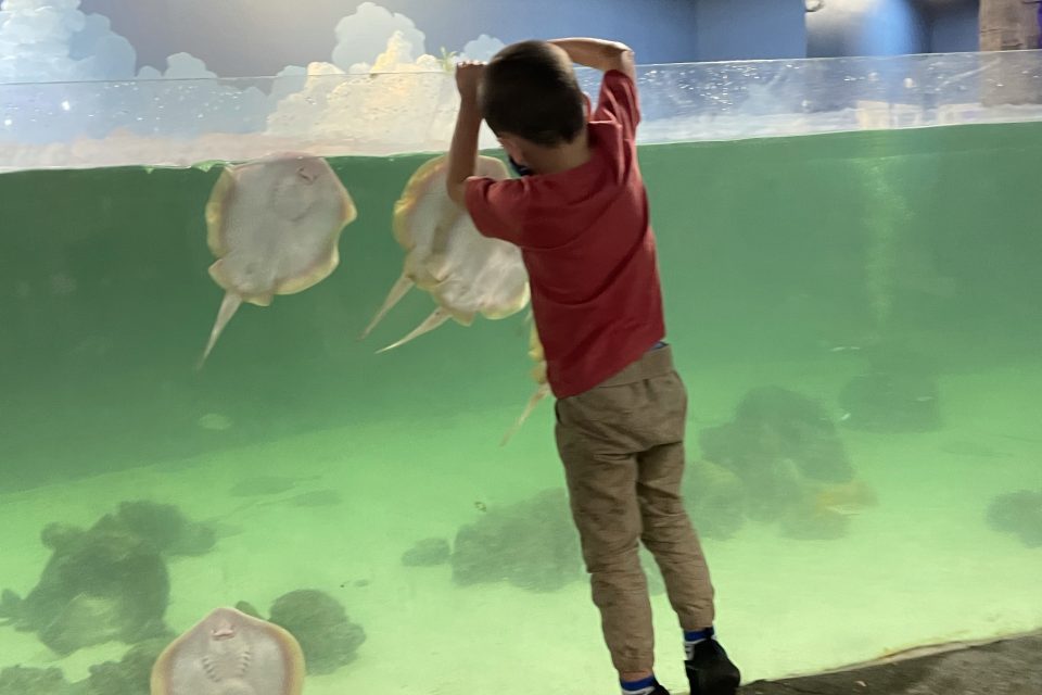 kids visiting Sea Quest in Connecticut for indoor fun